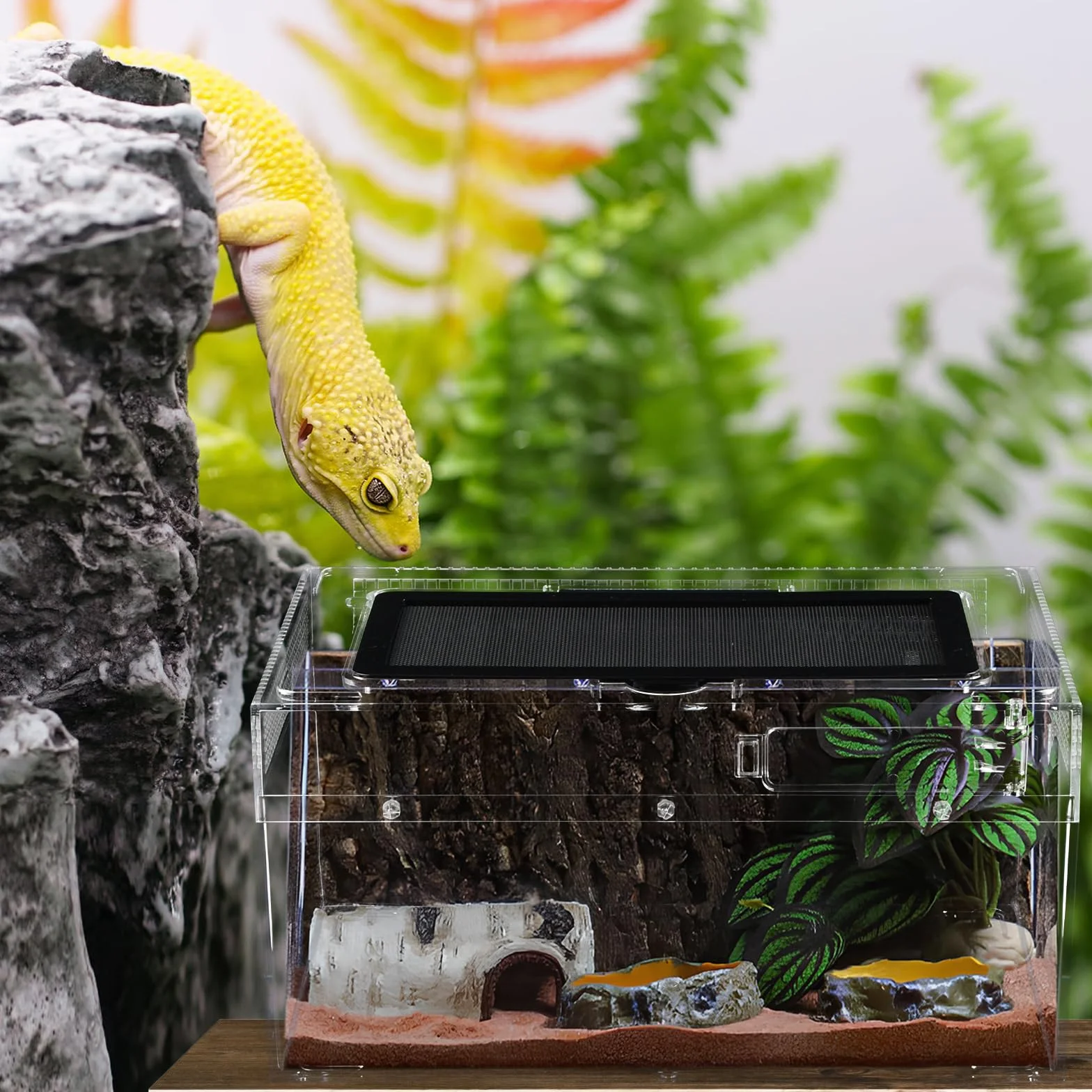 Terrarium pour Reptiles 30x18x15cm Boîte d'élevage Acrylique Portable Habitat