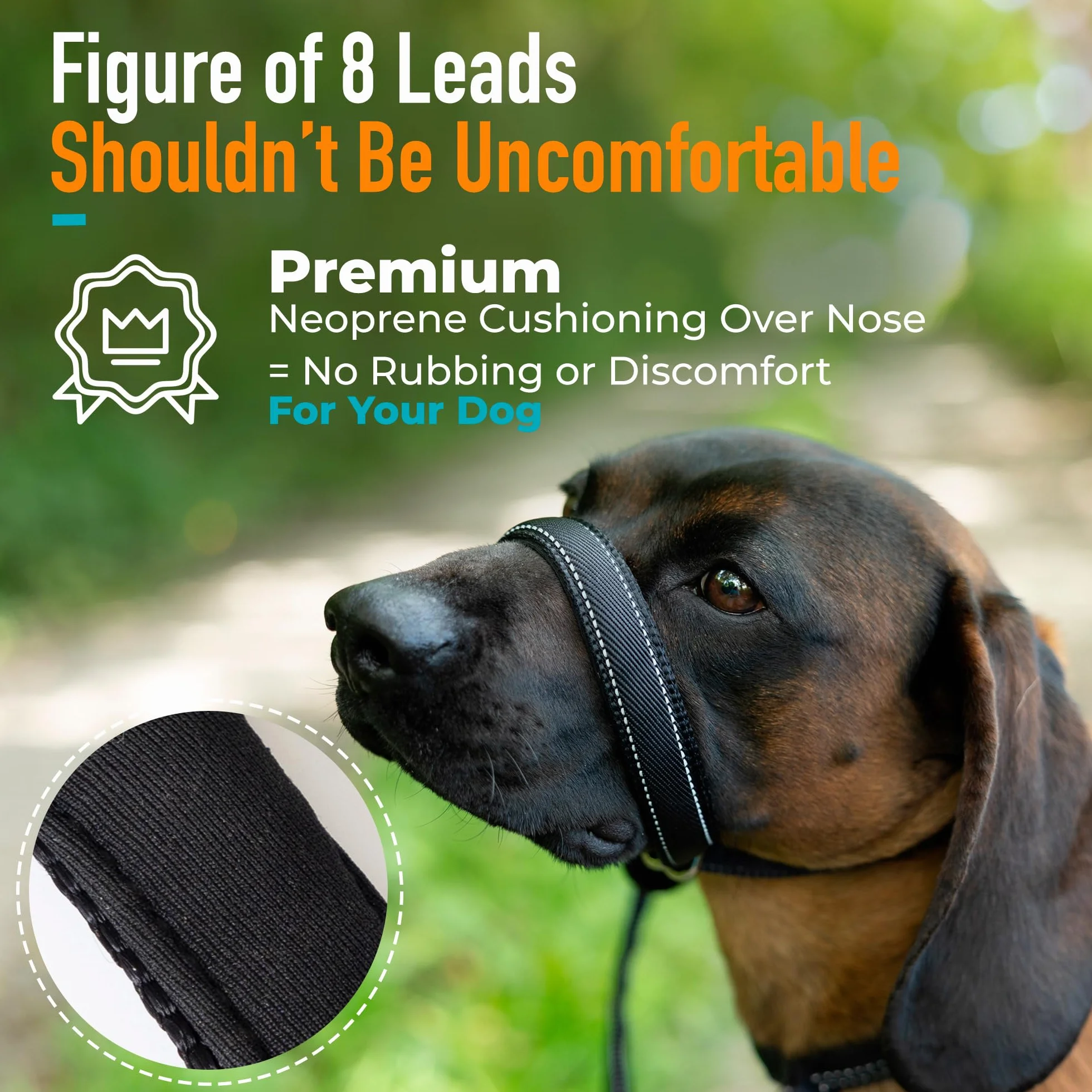 Laisses anti-traction réfléchissantes pour chien - Lot de 8 avec support de nez rembourré 210 cm