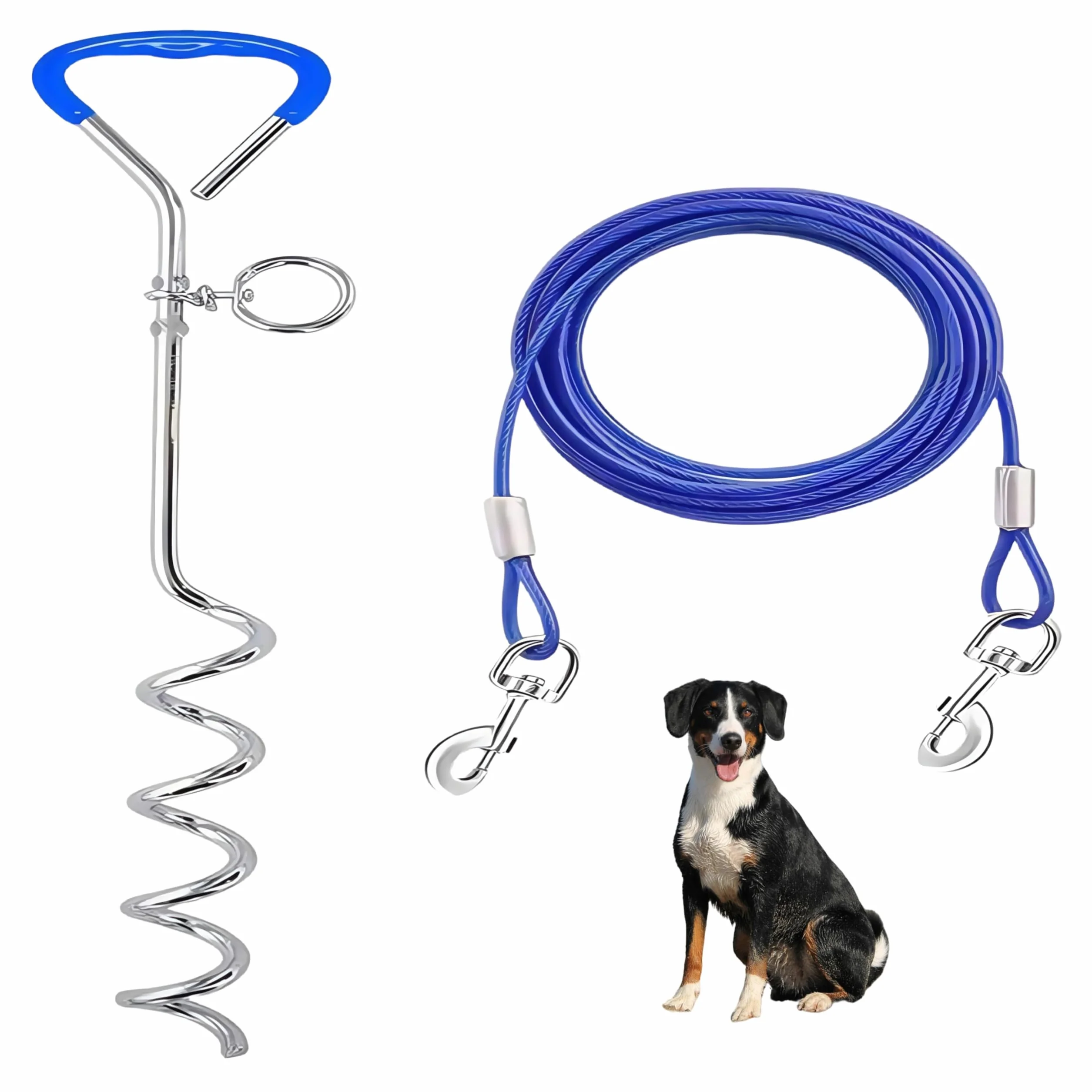 Piquet de pose pour chien avec laisse de 3 m, ancrage solaire pour extérieur, bleu