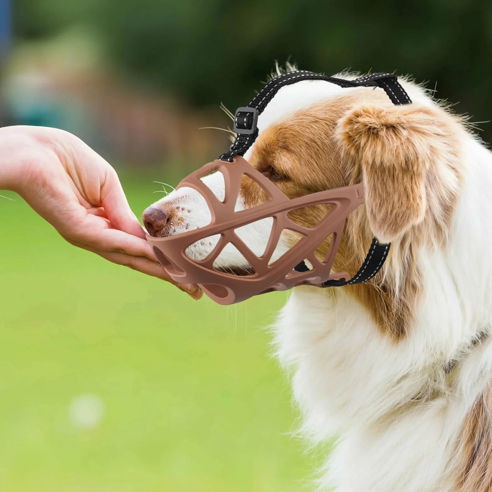 PETCUTE Muselière pour Chien,Réglable Museau de Chien avec Bande Réfléchissante,Mieux prévenir Les morsures, mâcher et aboyer Museau,Muselière pour Petits Chiens,pour Moyens Et Grands Chiens