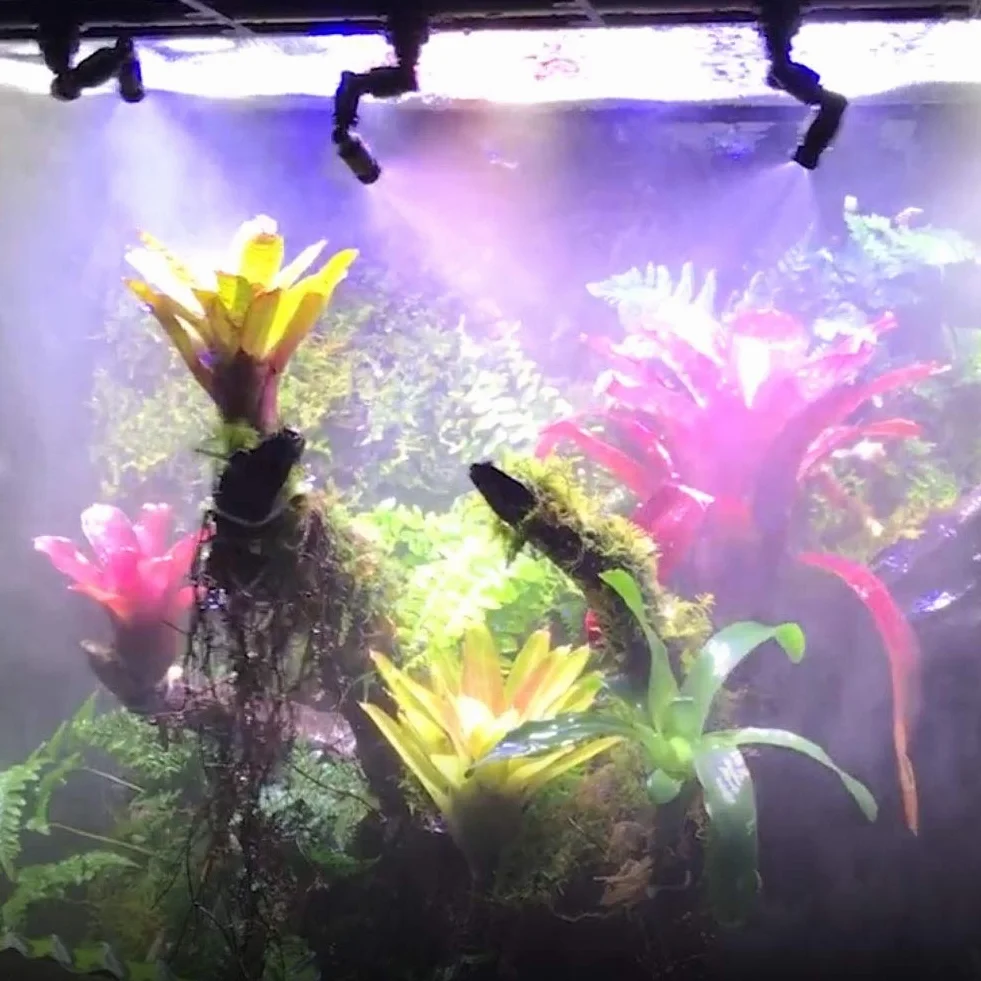 Système de Brumisation pour Reptiles Double Tête Arroseur de Brouillard 360° Réglable Terrarium