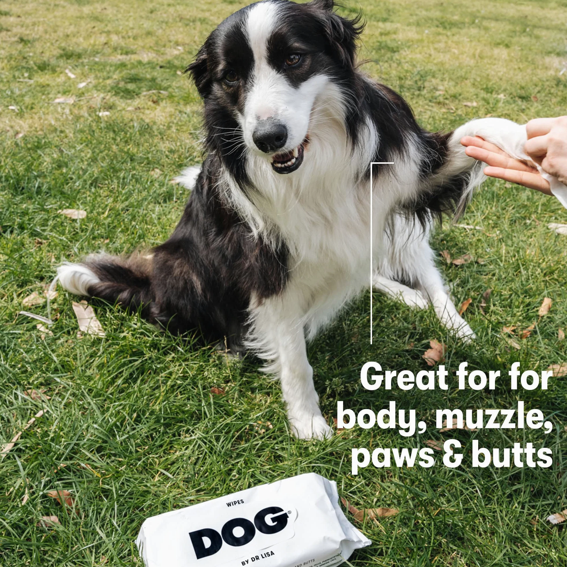 DOG by Dr Lisa - Lingettes de voyage pour chiens - À base de plantes - Lingettes de bain naturelles pour chiens - Fabriquées à partir de bambou 100 % compostable - Créées par des vétérinaires