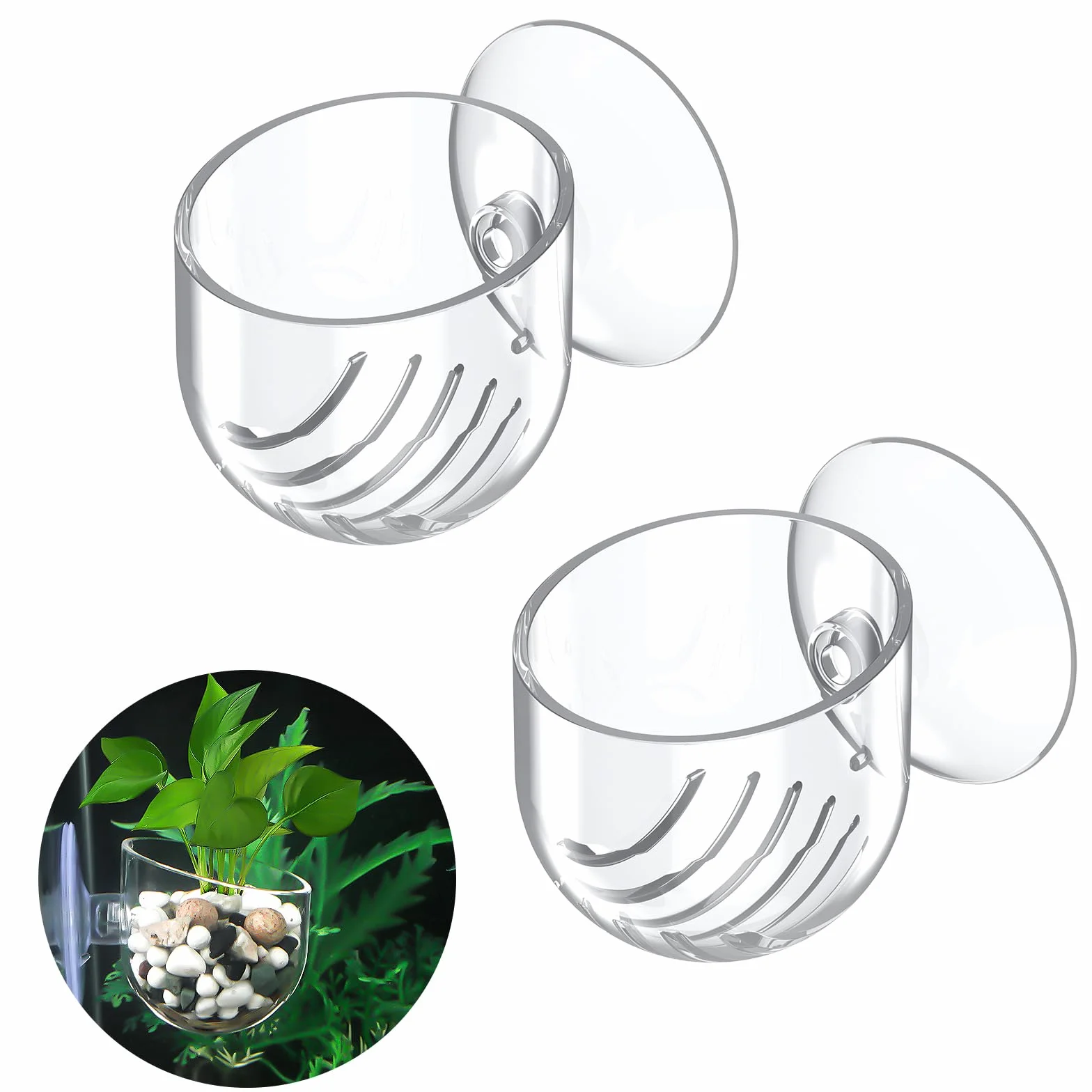 Pawfly Lot de 2 supports de plantes d'aquarium transparents en plastique avec ventouse