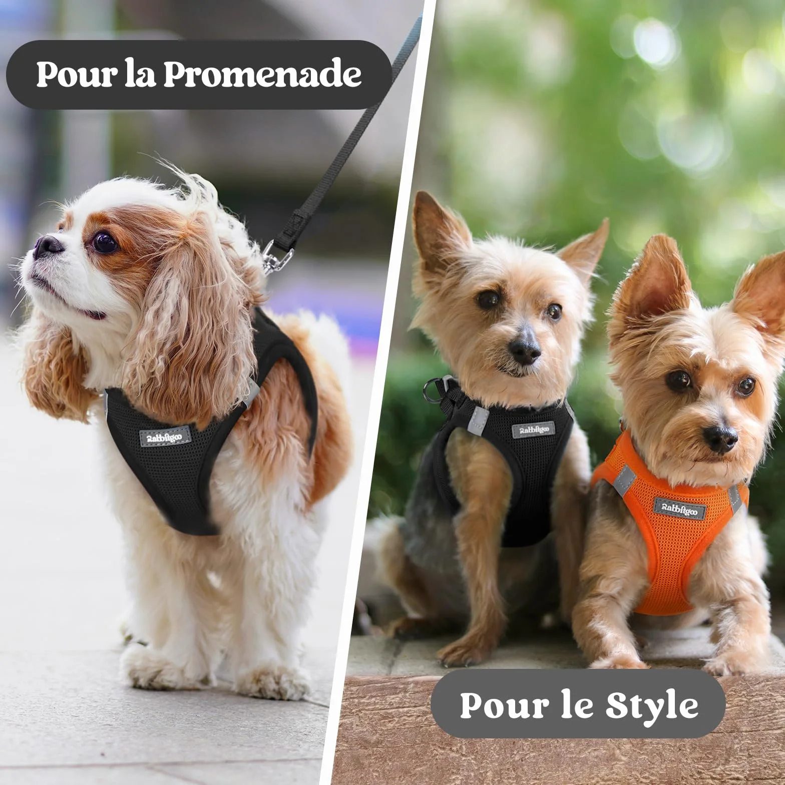 Rabbitgoo Harnais Chien Petite Taille Noir S, Harnais Respirant en Maille Souple Réfléchissant pour Petit Chien Marche Course