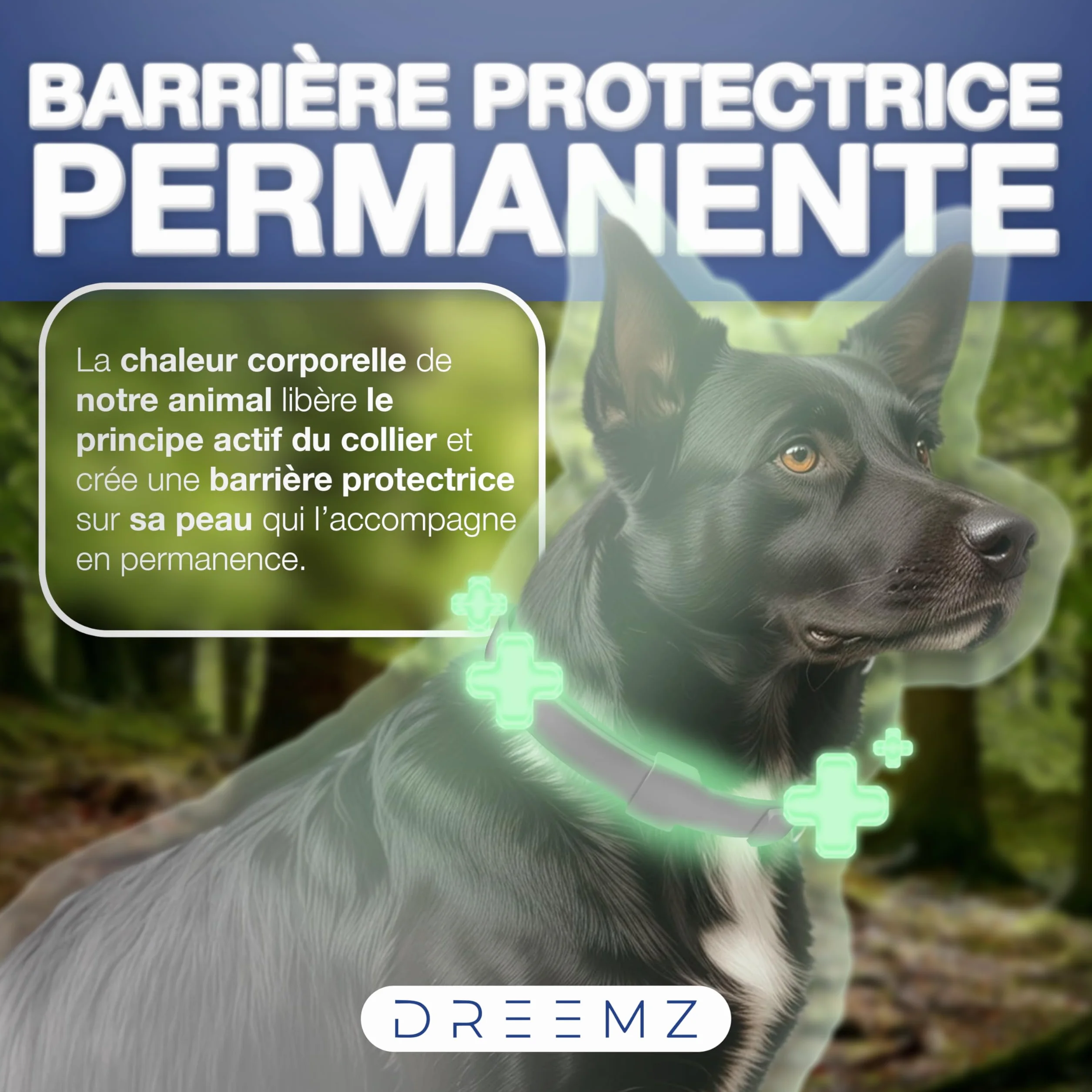Collier Anti Puces pour Chien DREEMZ® 63cm Réglable 8 Mois Protection Imperméable Naturel