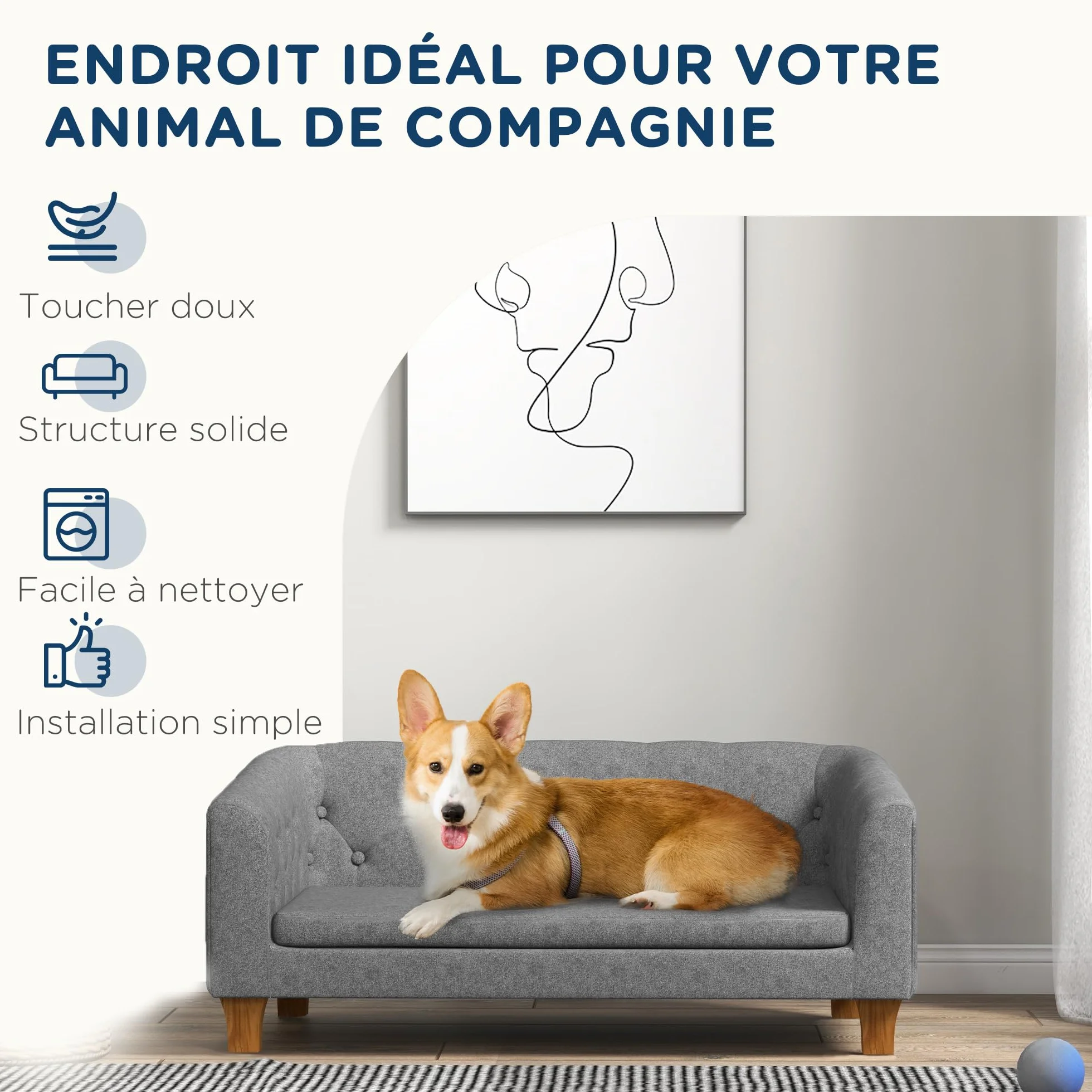 PawHut Canapé pour Chien et Chat surélevé, Coussin Doux Amovible, 96 x 60 x 42 cm, Gris