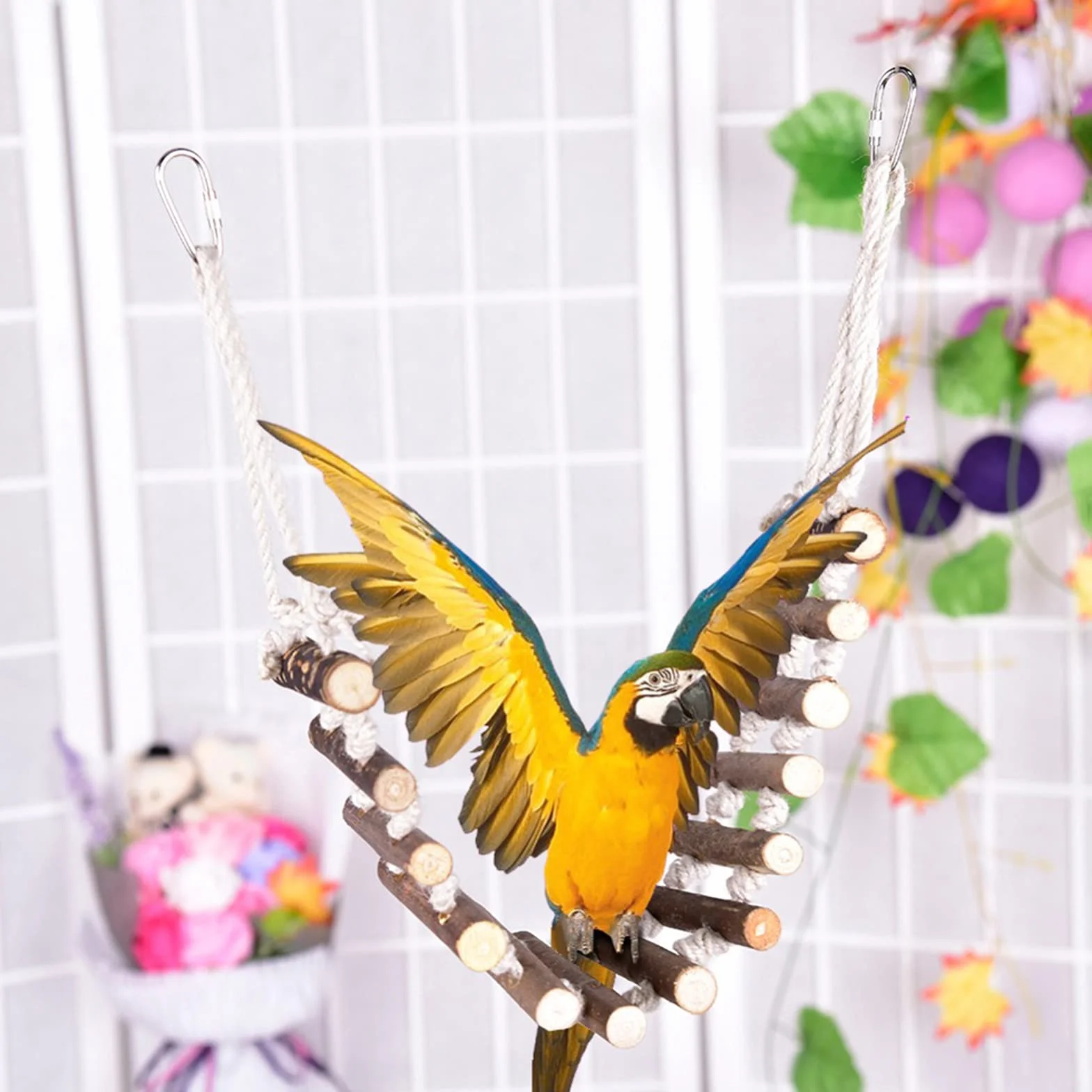 Echelle à Oiseaux Naturelle pour Perroquets Perruches Gris Africain