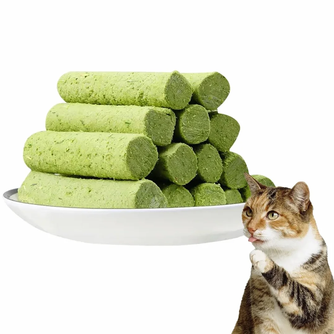 Collations pour Chats Herbe à Chat 50g Snack Lyophilisé Nettoyage des Dents