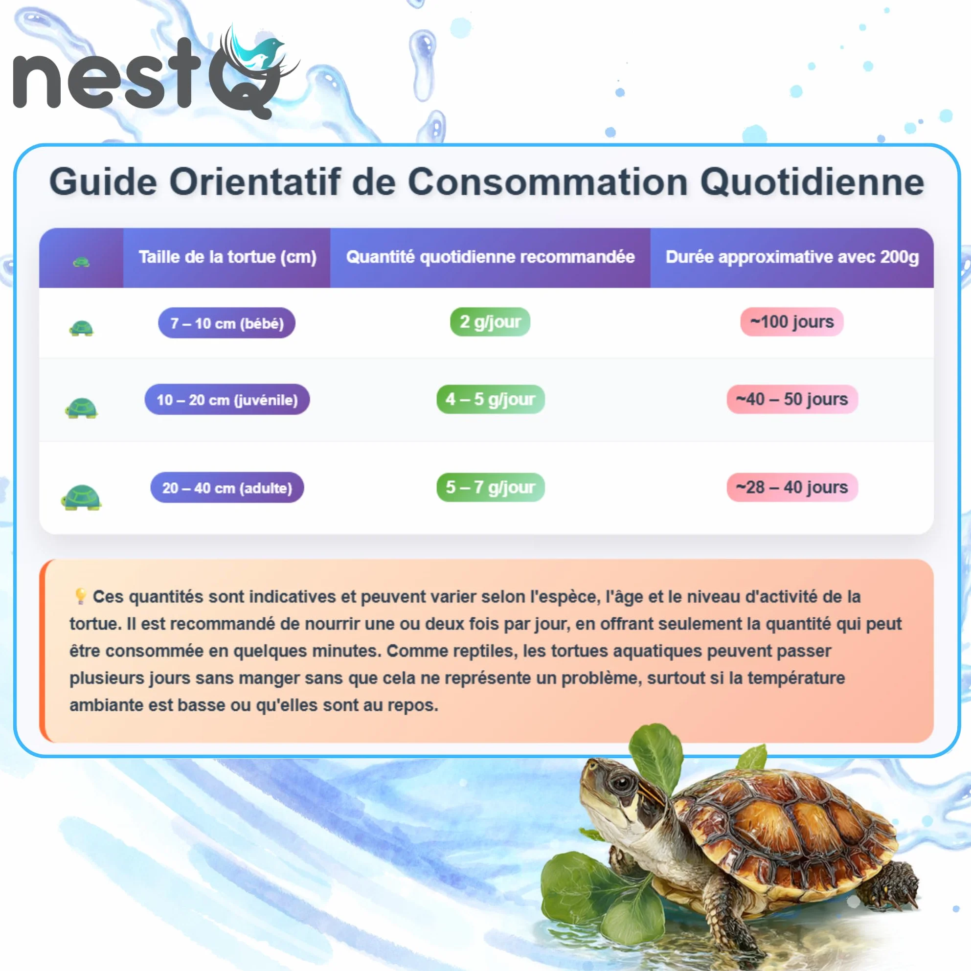Granulés Flottants pour Tortues Aquatiques Alimentation Complète Riche en Calcium 200g