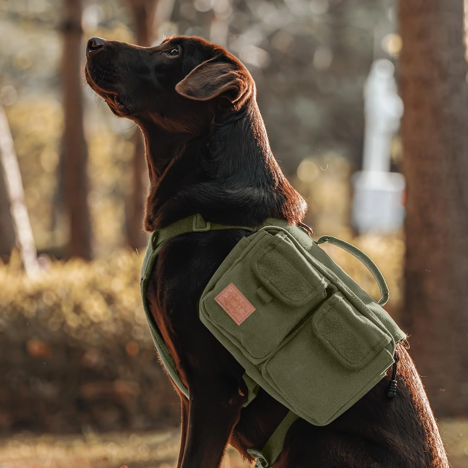 OneTigris Harnais pour Chien Hoppy Camper 3.0 Sac à Dos Vert