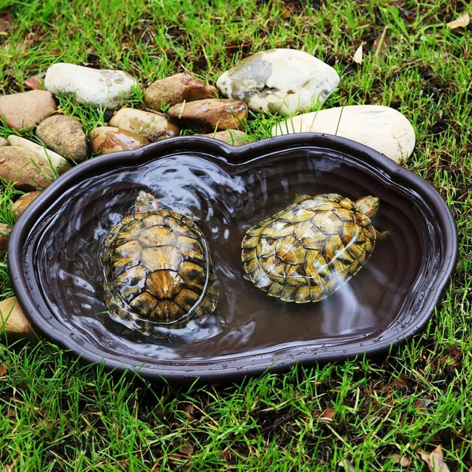 Plat d'eau Tortue pour Reptiles avec Rampe et Plate-Forme, Bol d'alimentation