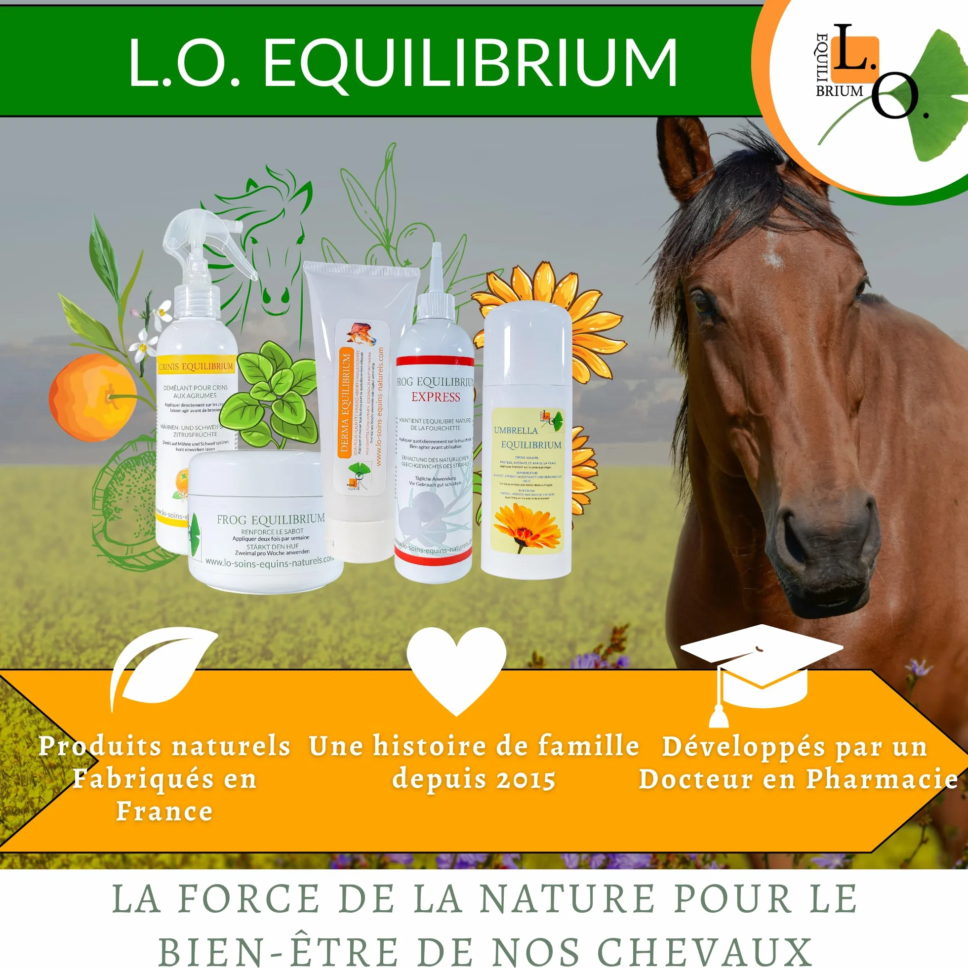 Frog Equilibrium Express - Soin Naturel réparateur et Protecteur des fourchettes pour Cheval - Retour Rapide à l'état physiologique (125 ML)