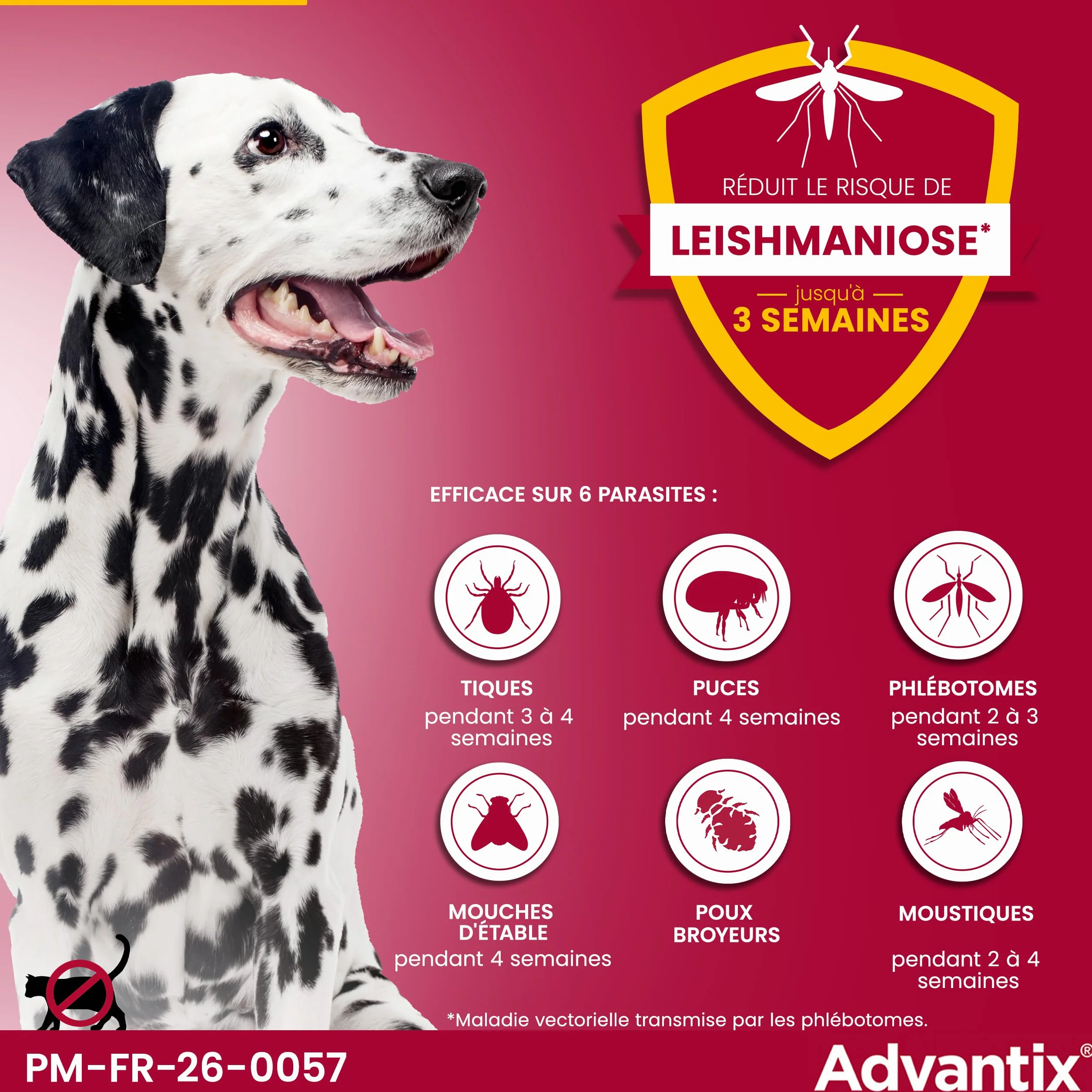 Advantix Chien Moyen 10-25 kg Pipettes 6 Parasites Traitement 4 Semaines 6 x 2,5 ml