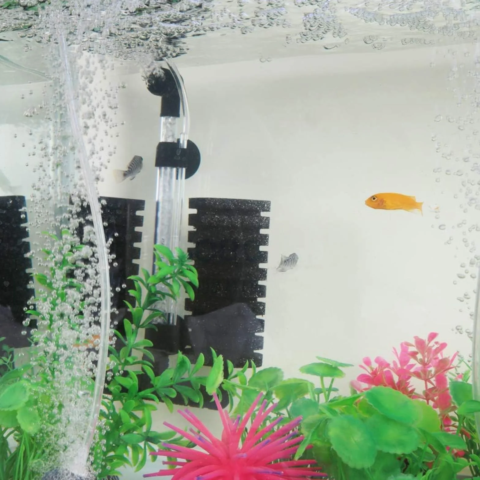 Filtres en Éponge pour Aquarium 6 Pièces, Filtration Biologique et Mécanique, Mousse Silencieuse