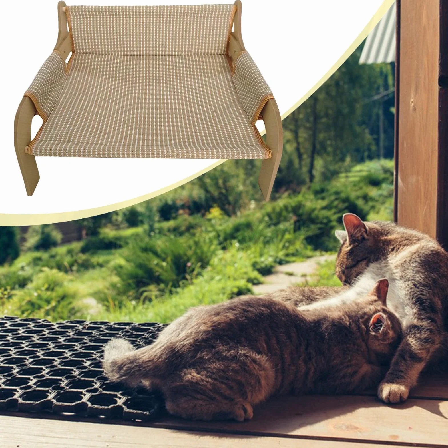 Canapé lit surélevé respirant pour chiens et chats, intérieur extérieur