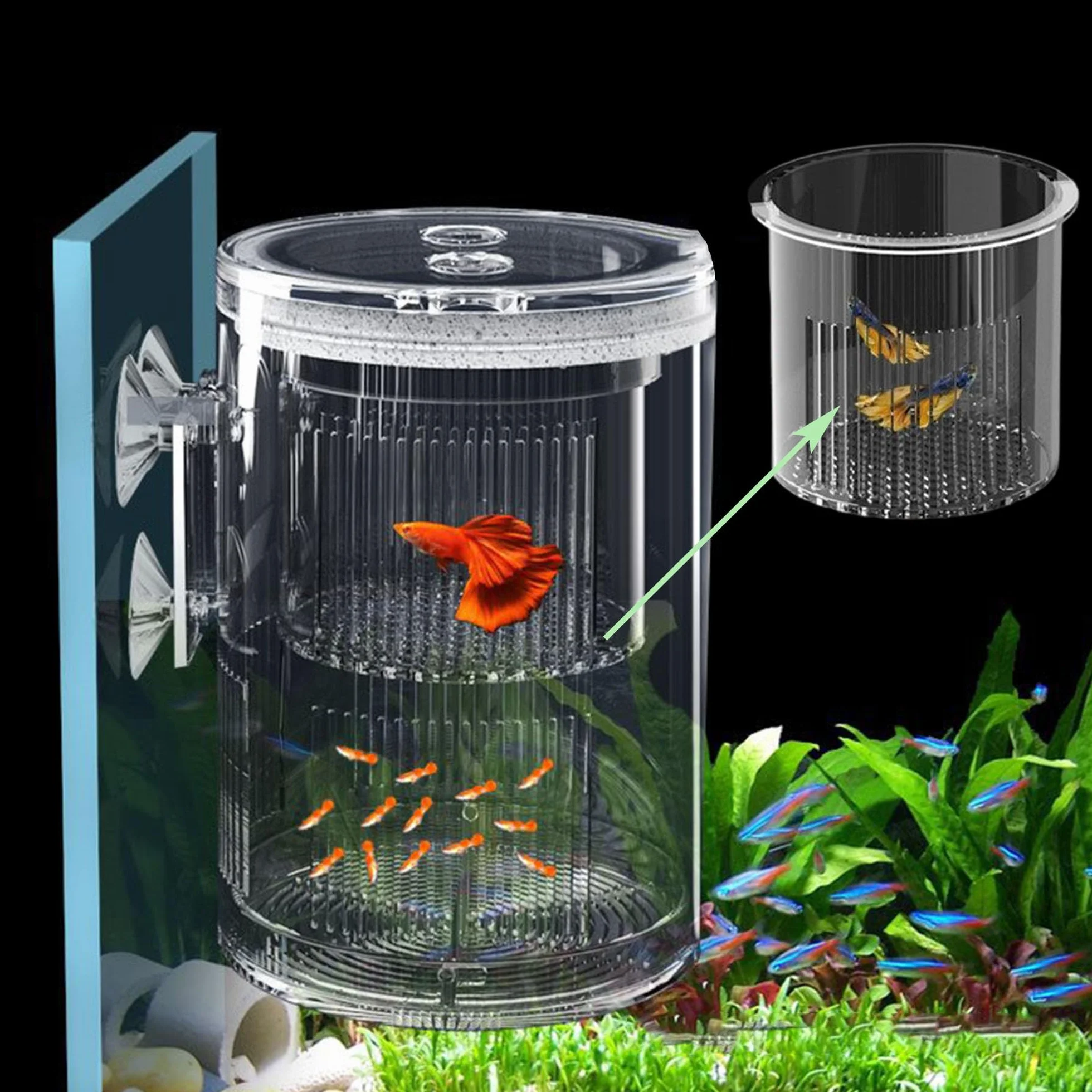Forme Cylindrique Boîte D'éLevage pour Aquarium, Boîte D'éLevage pour Poissons D'Aquarium, Double Couche, Transparent, Incubateurs avec Ventouses, pour Poissons Agressifs Blessés