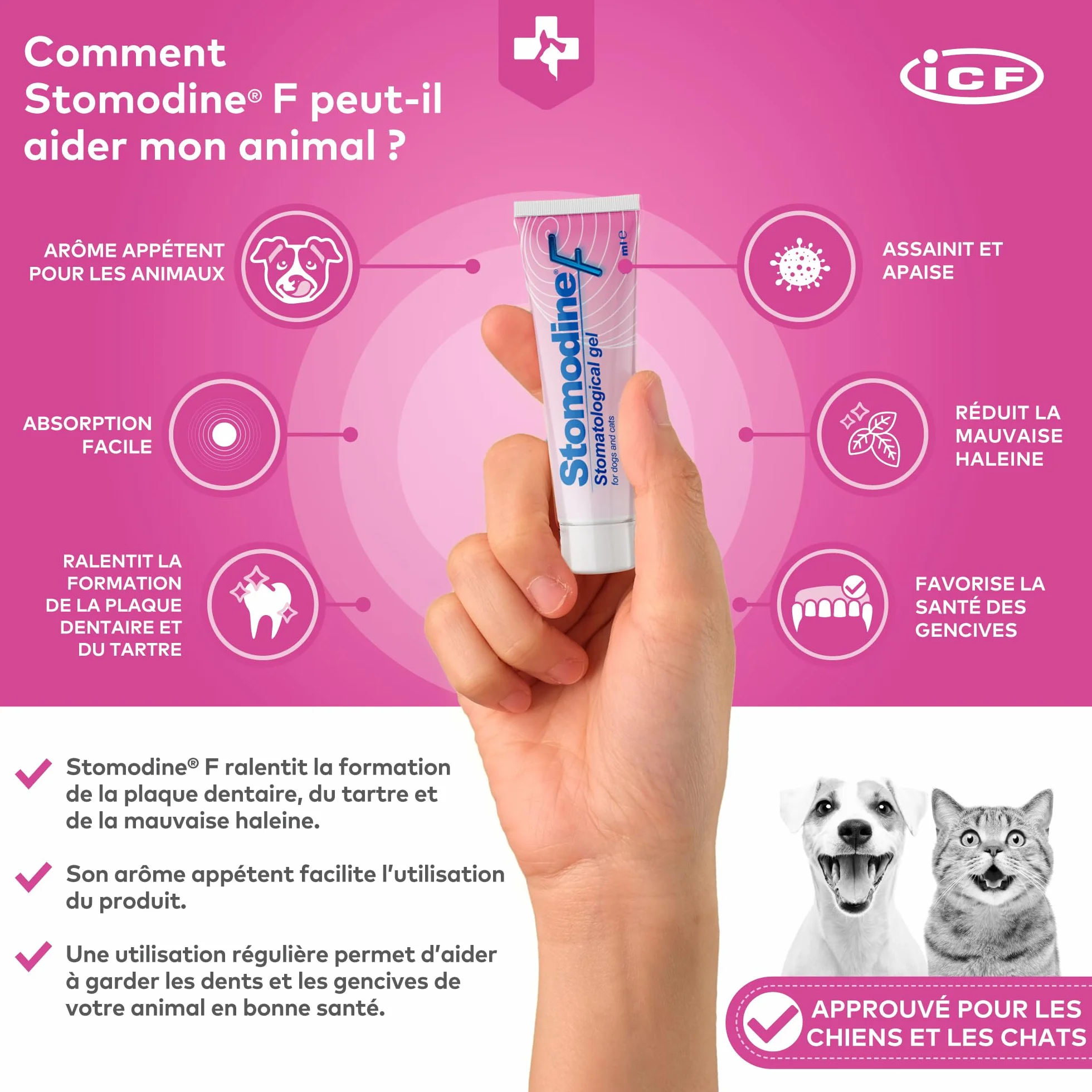 ICF Stomodine F Gel Appétent Hygiène Buccale Chiens Chats 30ml