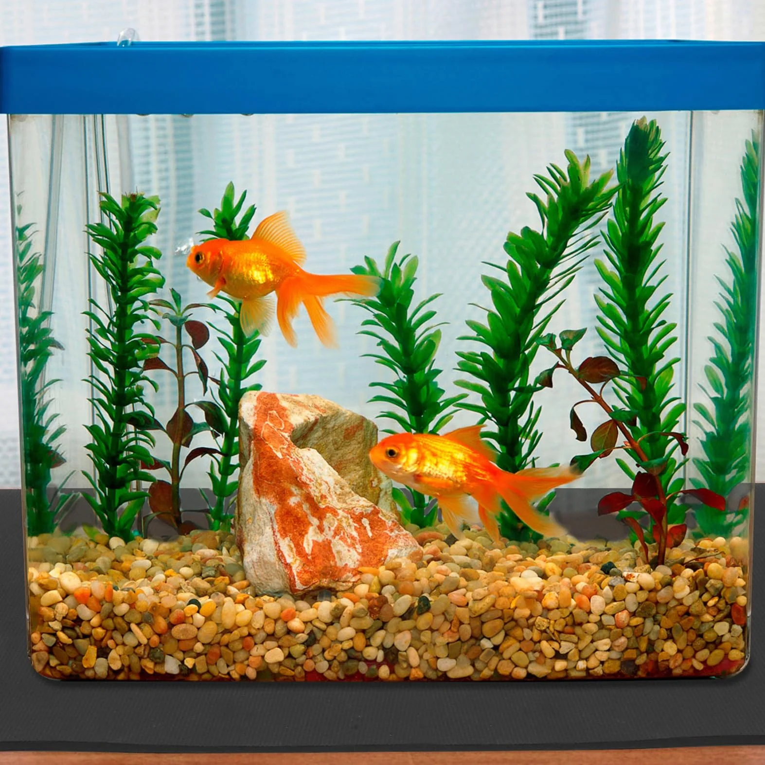 UPKOCH Tapis d'Aquarium Antidérapant 60 x 40 cm Anti-Vibrations