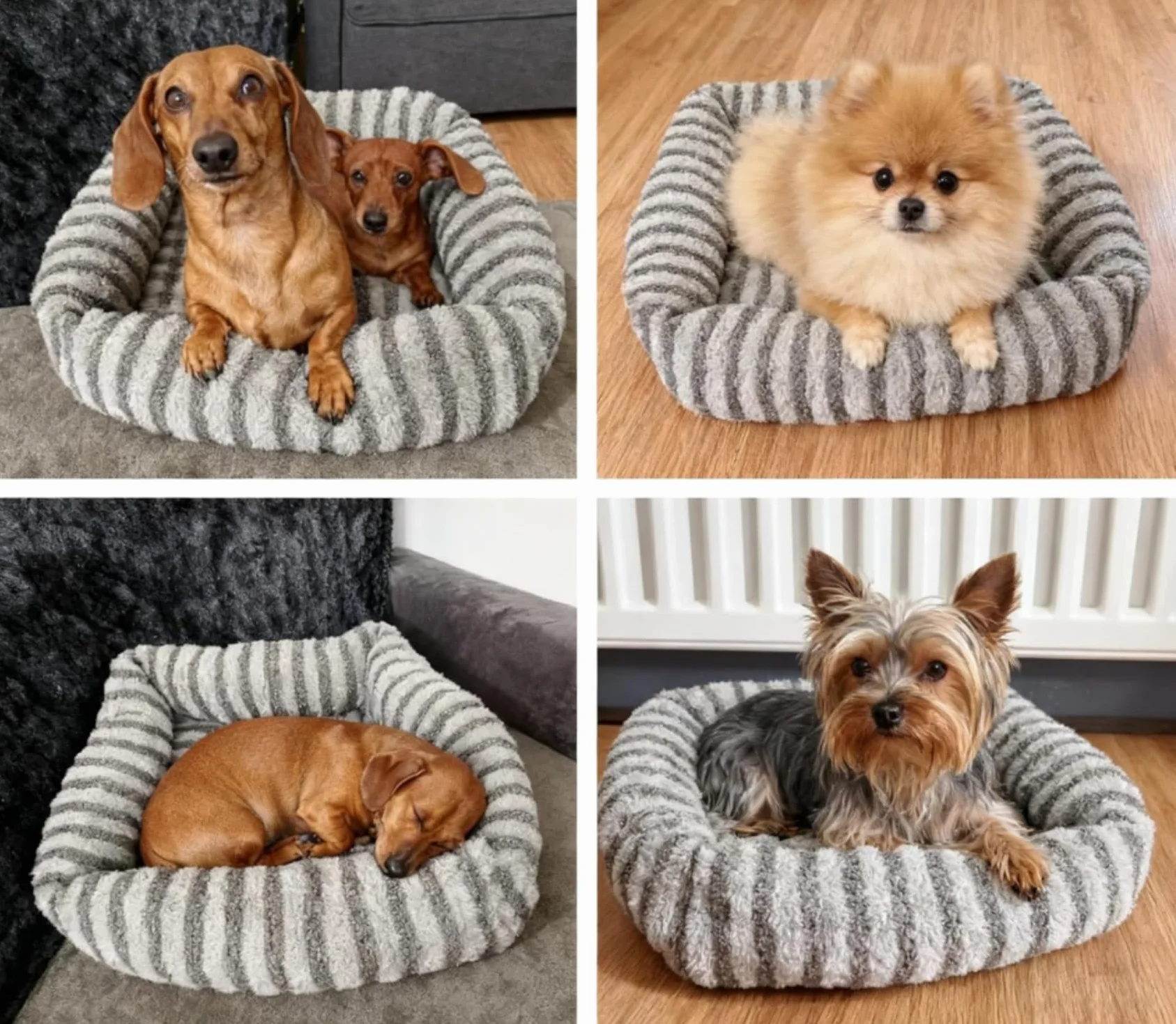Panier pour Chien Lavable Déhoussable Imperméable 51 x 48 x 15 cm