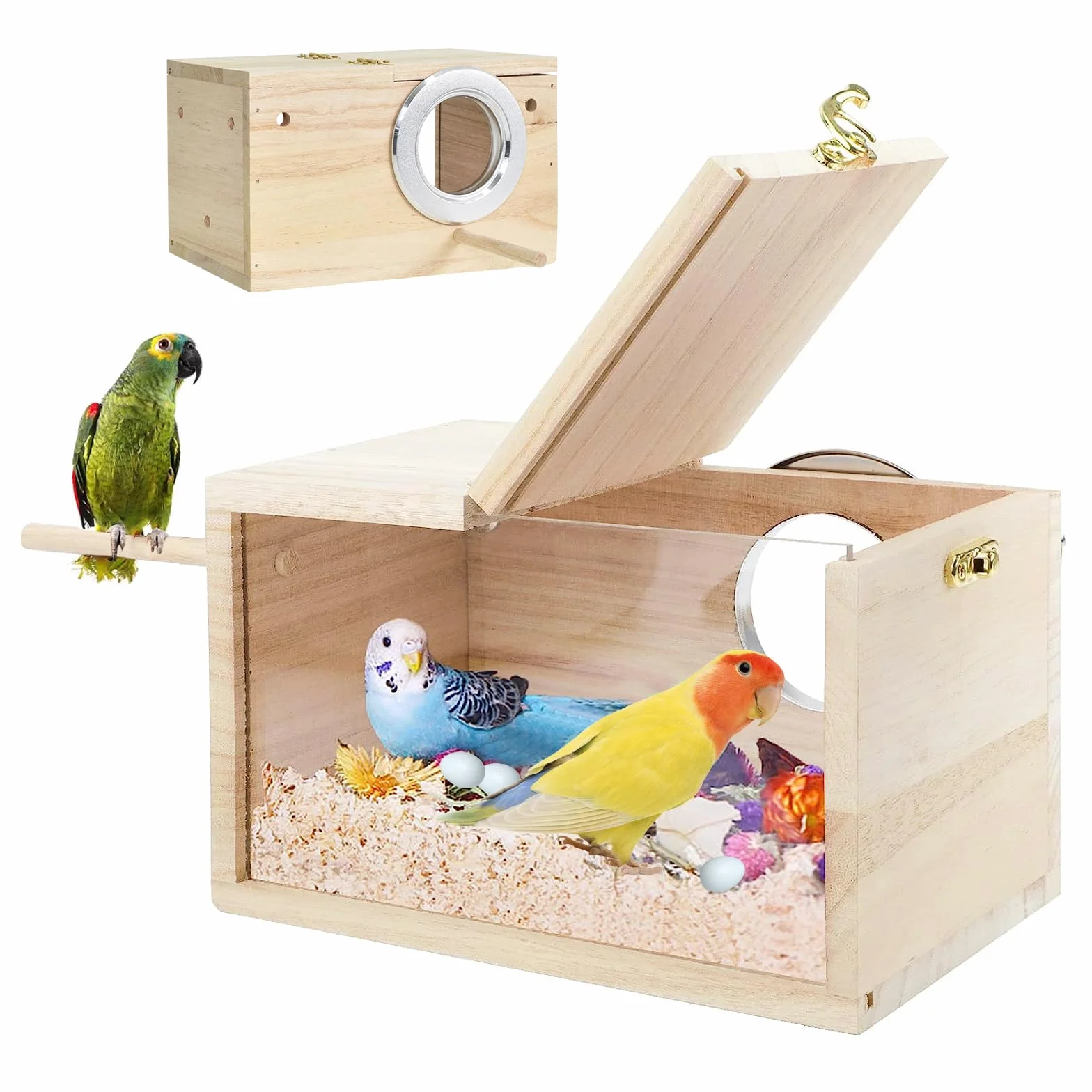 Nichoir transparent en bois naturel pour perruches, inséparables et pinsons