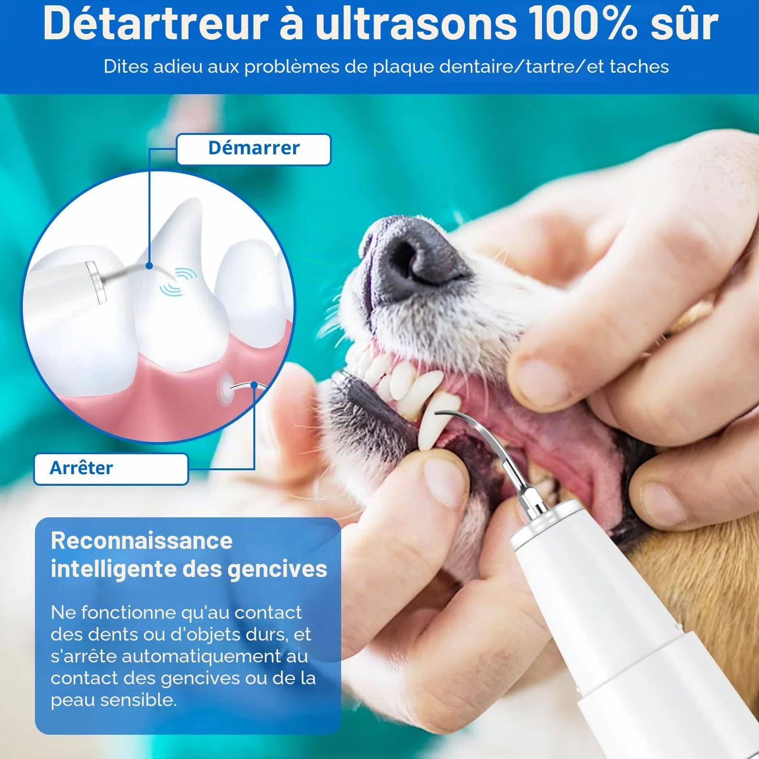 Lot de 8 brosses à dents à ultrasons pour chiens et chats - Pour nettoyer les dents des chiens et chats (Blanc)