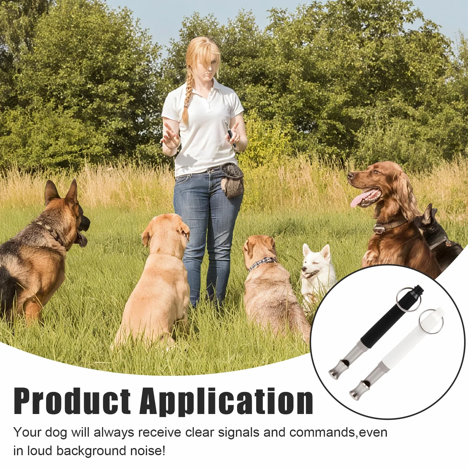 Sifflet Ultrason Chien Anti Aboiement, Sifflet de Dressage Professionnel, 2 Pièces Noir et Blanc