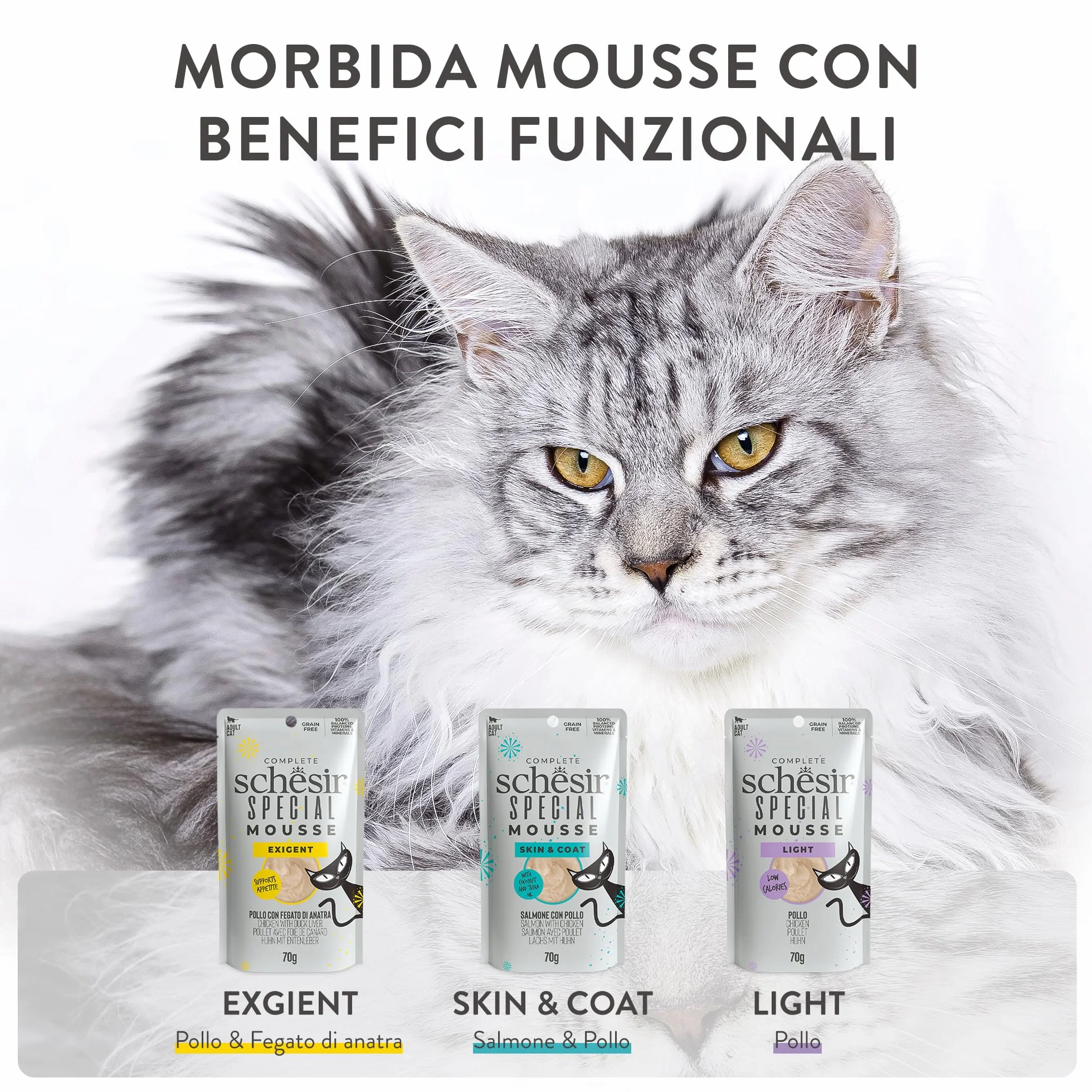Schesir Special Exigent Alimentation complète pour Chats exigeants Poitrine 12 x 70 g