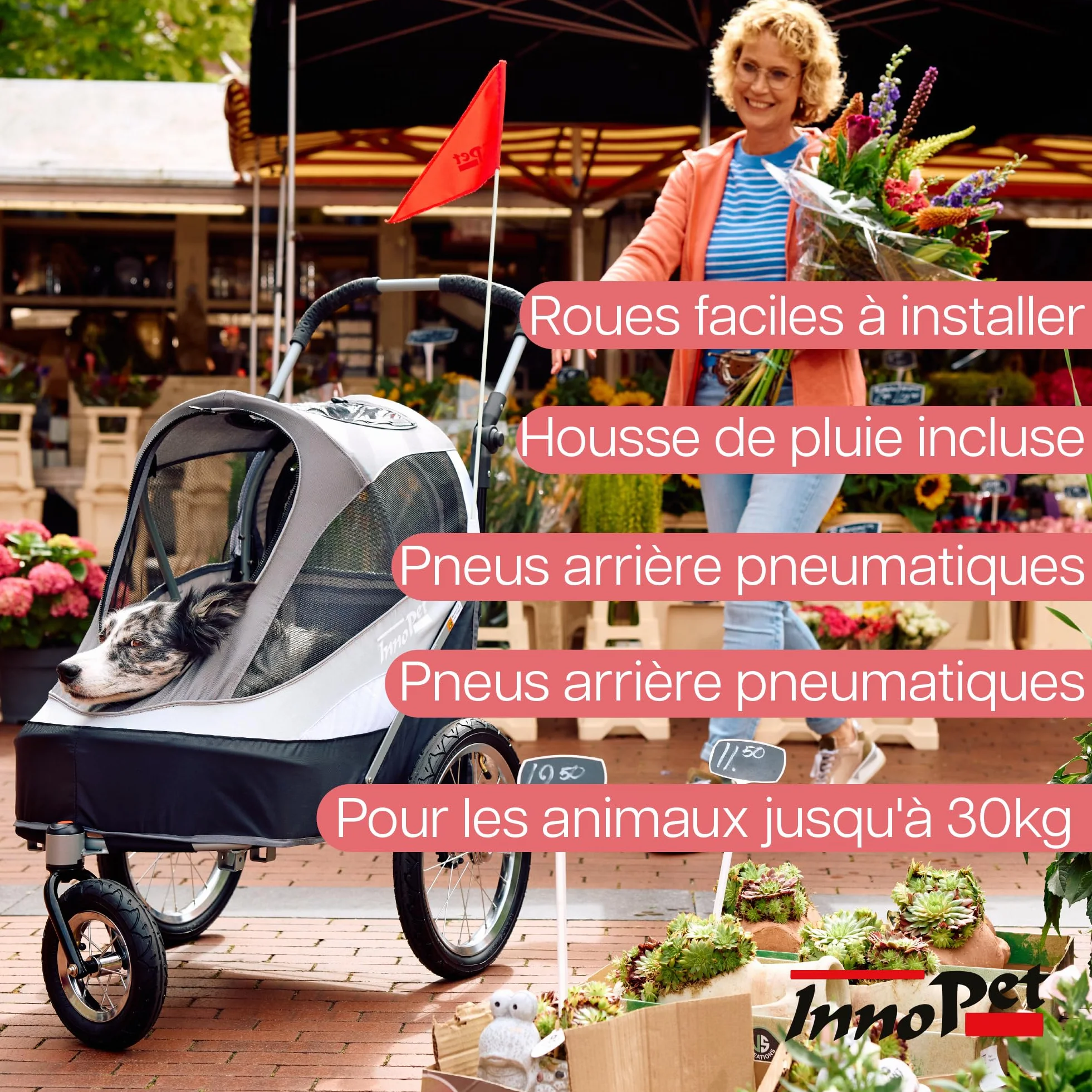 Innopet Sporty Dog Trailer Deluxe Noir/Argent - Poussette pour chien et remorque pour vélo 2 en 1, capacité 30 kg