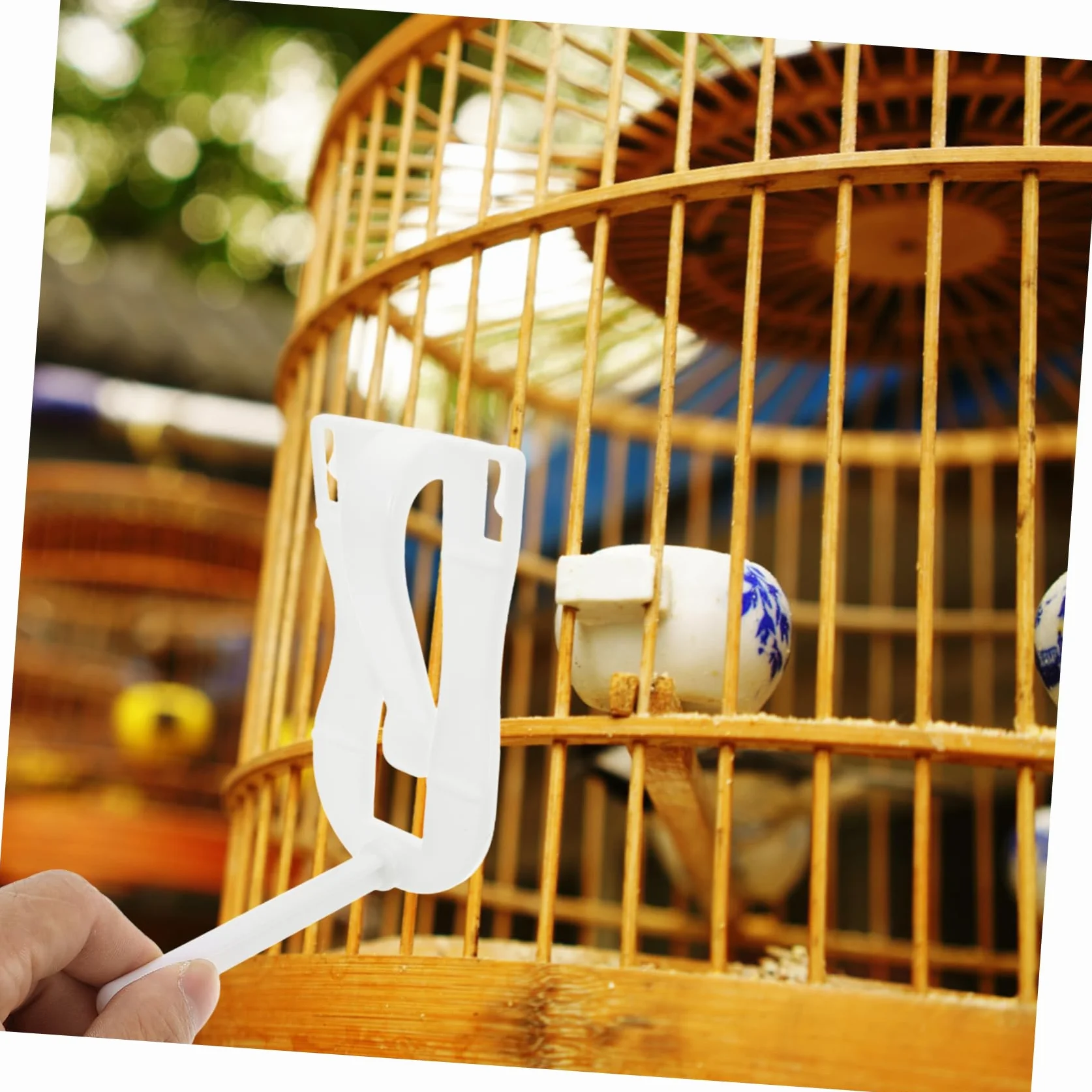 BESPORTBLE Support Os Seiche Abs pour Cage à Oiseaux Pince Alimentaire Polyvalente Légumes Friandises Accessoire Perruches Canaris Cockatiels Finches