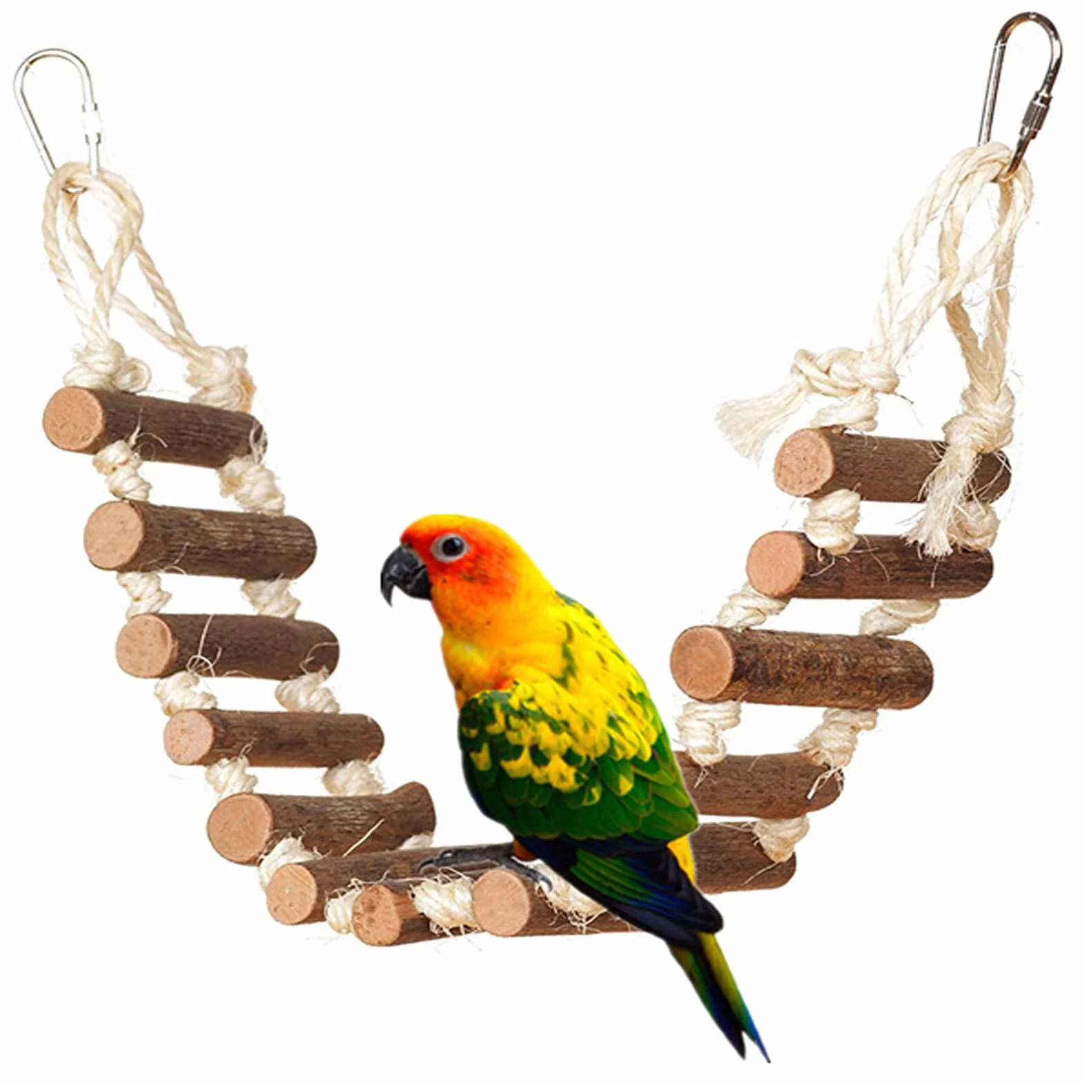Echelle à Oiseaux Naturelle pour Perroquets Perruches Gris Africain