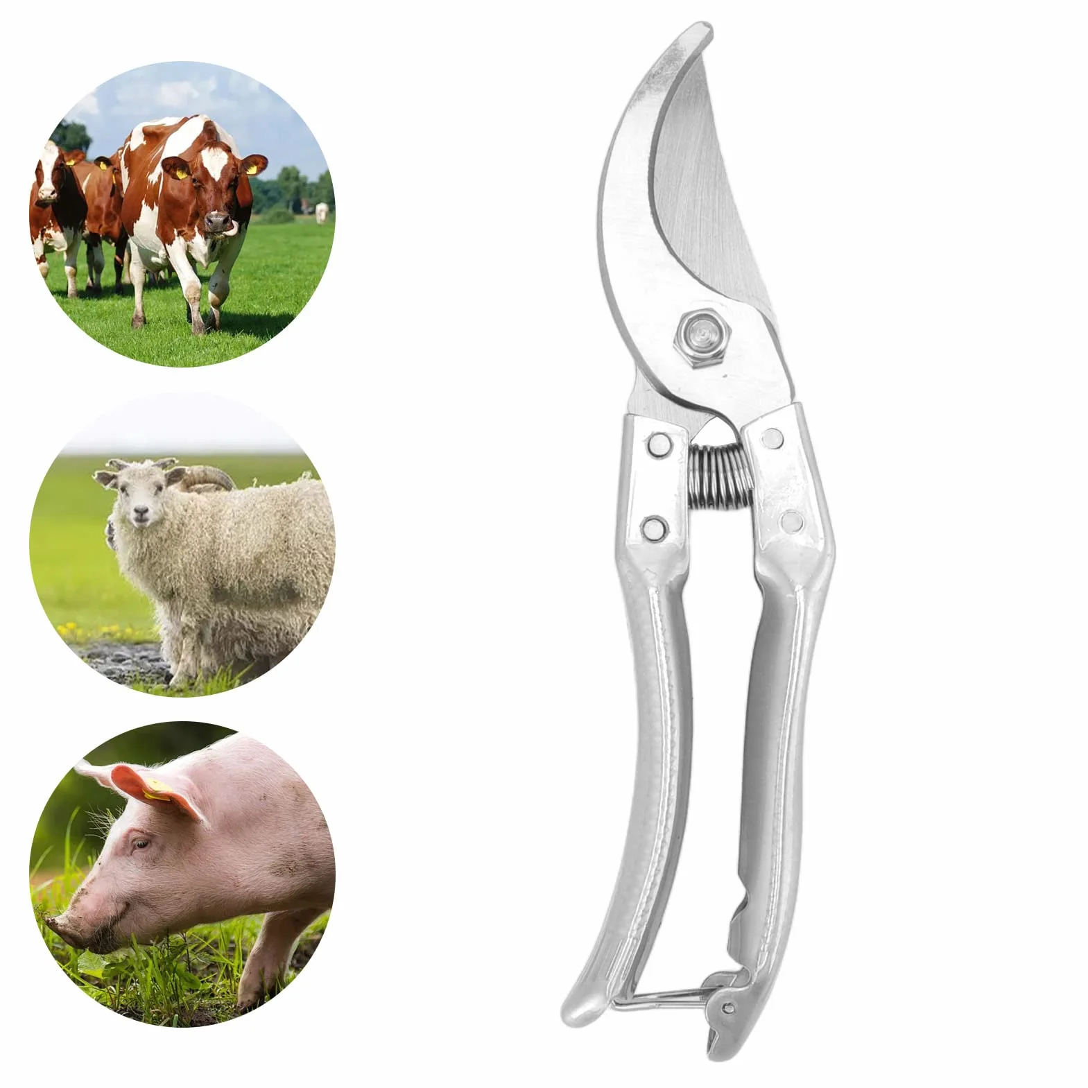 Cisailles ongles pour Moutons, Pince de Cisaillement Pig Trotter avec Ressort Forte Outil Réparation Ongles Animaux Argent