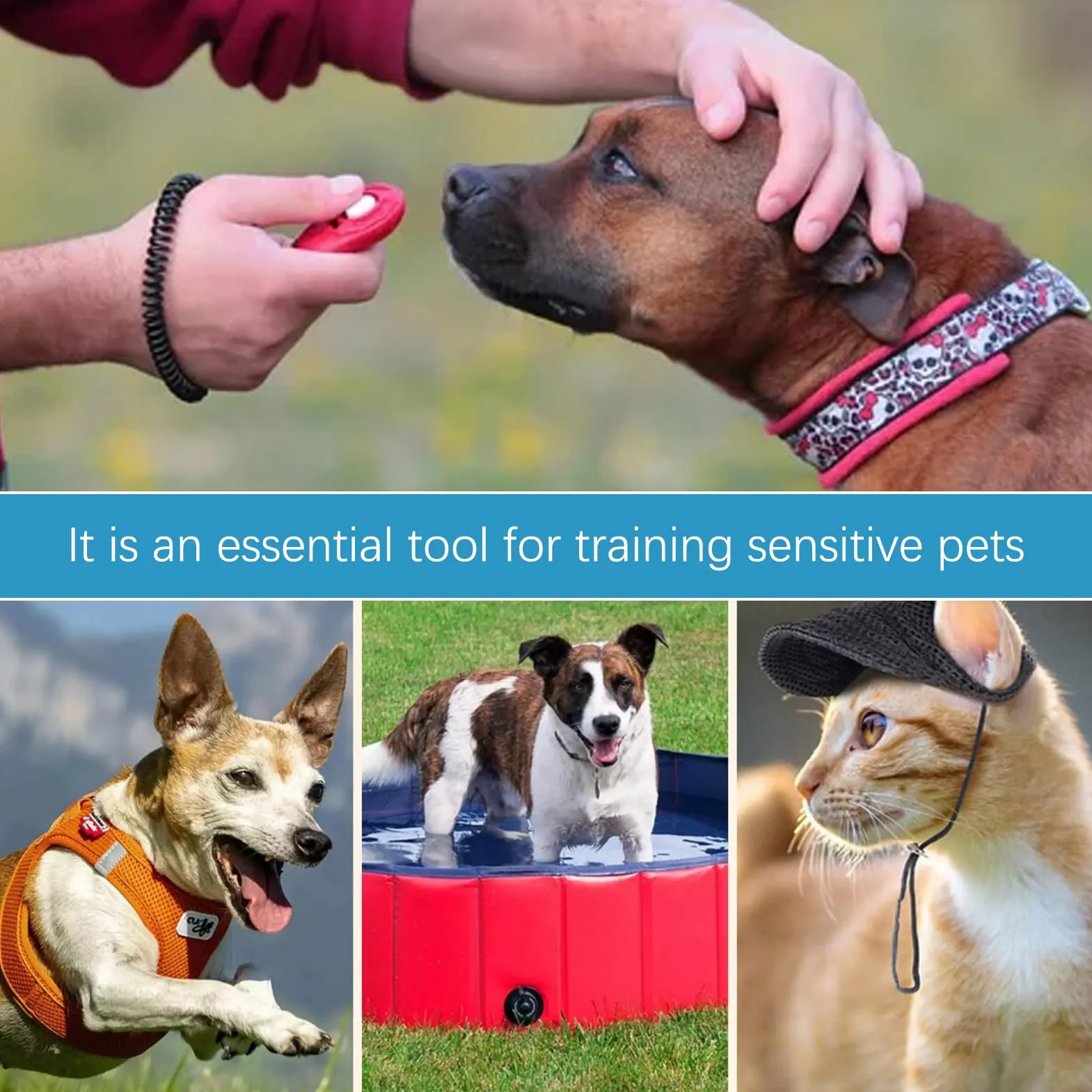 4 PCS Clicker de Chien,Clickers pour Chien,Clicker de Dressage pour Animaux de Compagnie avec Dragonne,Clickers de éducation Formation,Professionnel Clicker Chien Dressage pour Chien,Chat,Cheval.