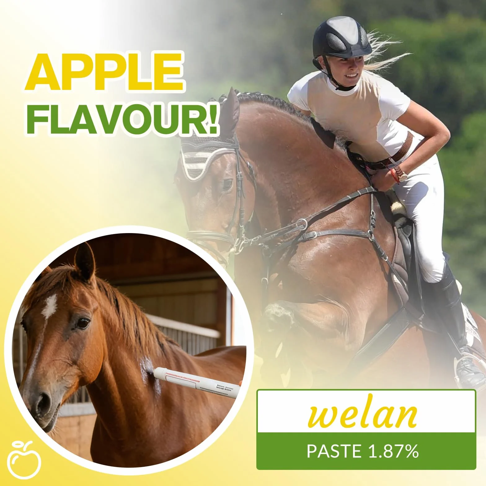 Lot de 6 gels pour chevaux 1,87 % saveur de pomme pour chevaux jusqu'à 567 kg