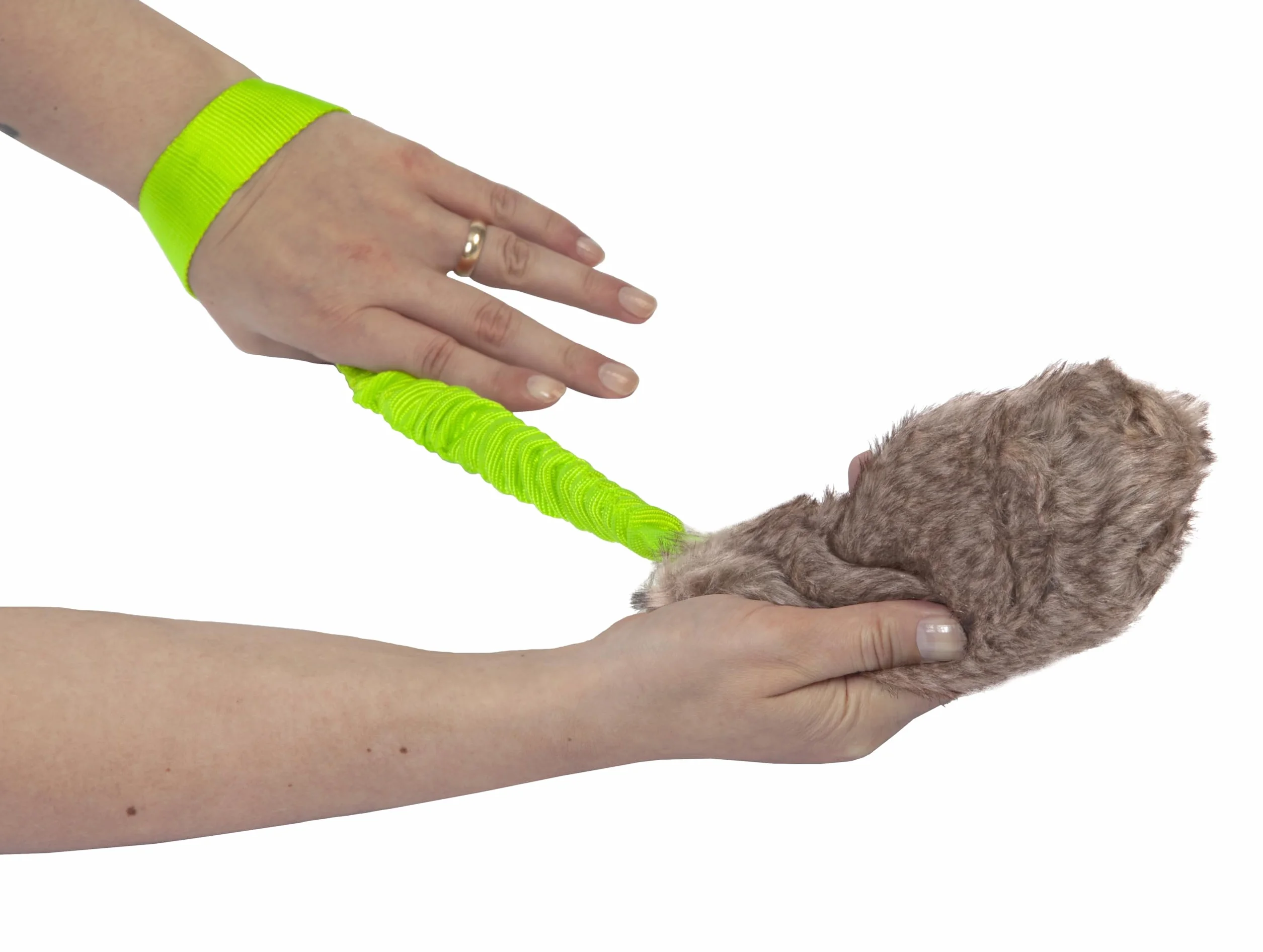 Dingo Jouet pour Chien en Fourrure Artificielle - Leurre Couineur 55 cm avec Poignée Élastique pour l’Agilité, l’Entraînement, la Chasse et Le Jeu – Vert (15584-2)