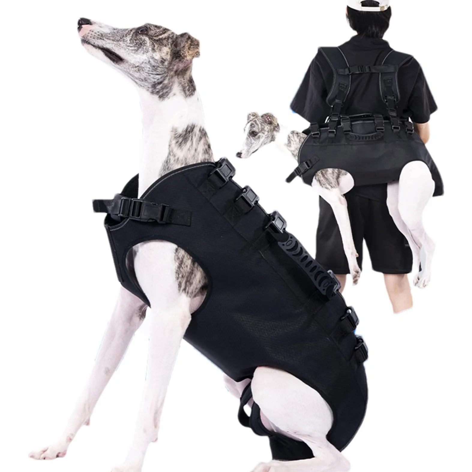 Câblage de support de chien professionnel pour la mobilité de levage | harnais pour animaux de compagnie pour assistance à la récupération | Vecteur thoracique réglable pour grands canins | Oxfo