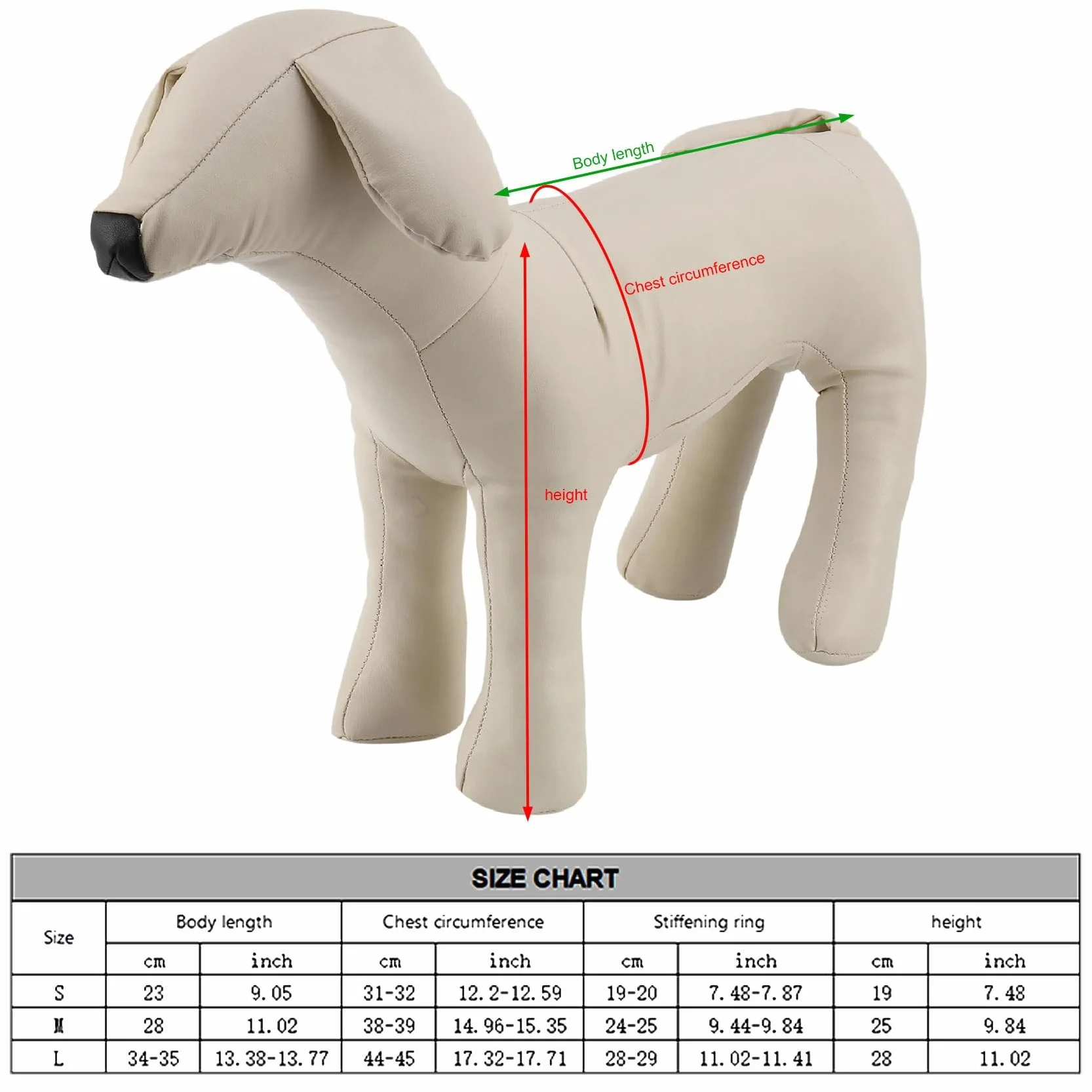 Mannequin Chien Cuir Modèle Chien Position Debout Mannequin Affichage Animal Compagnie Blanc