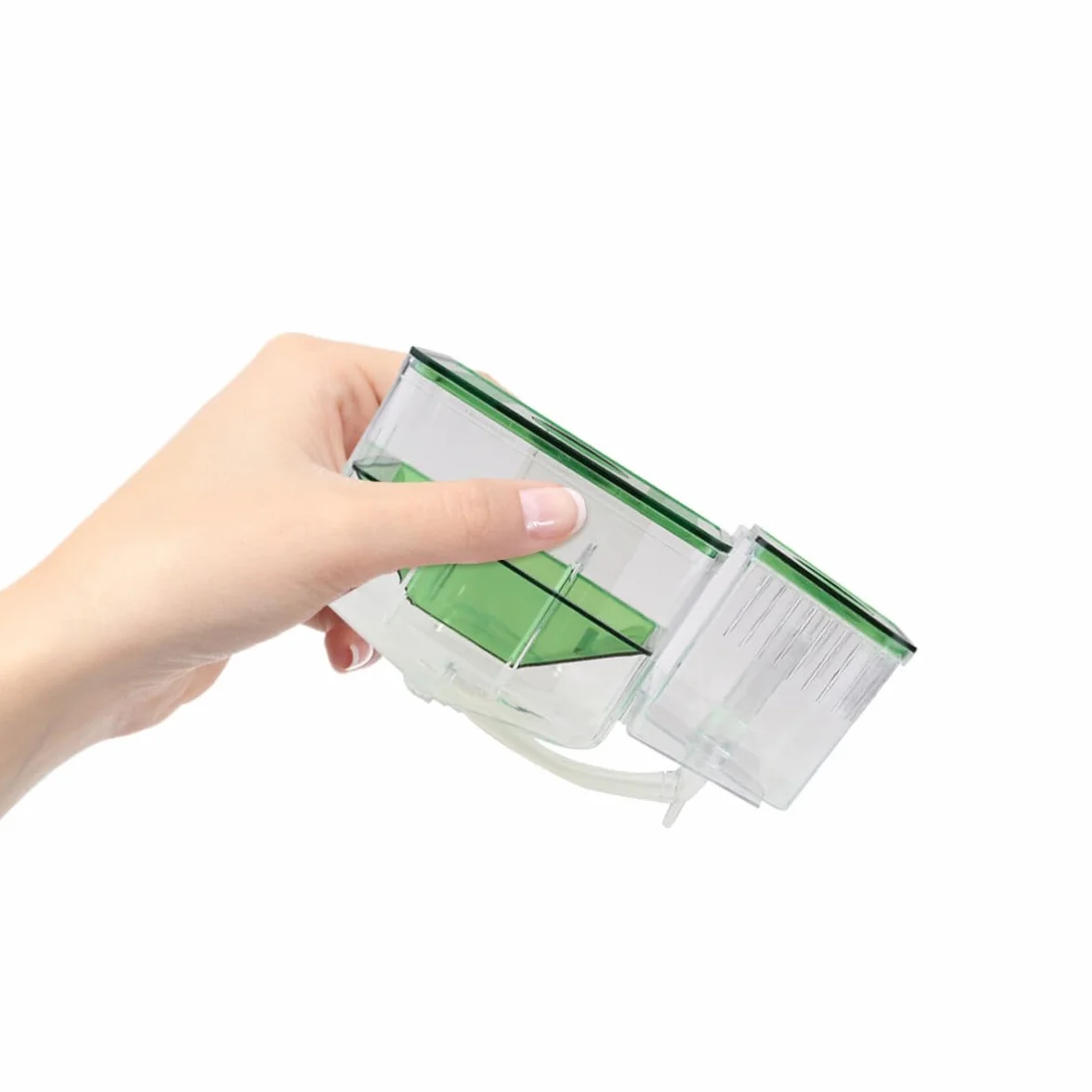 SHINEOFI Boîte D'élevage pour Aquarium en Acrylique Vert, Protection des Œufs de Poisson Alevins, Couveuse Isolante pour Maison et Aquarium