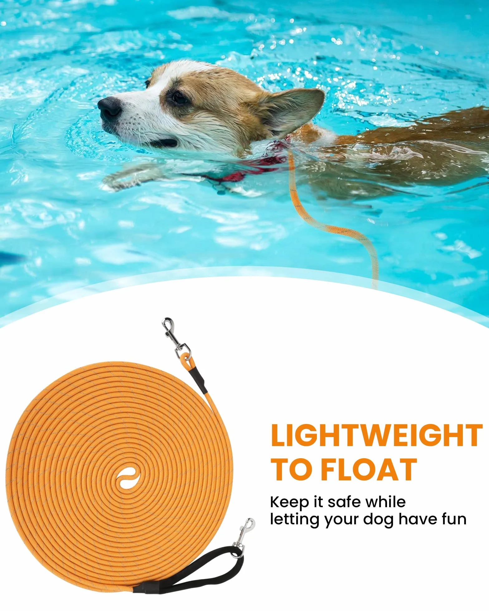 PETTOM Longe Chien 10m Réfléchissante avec 2 Mousquetons, Orange