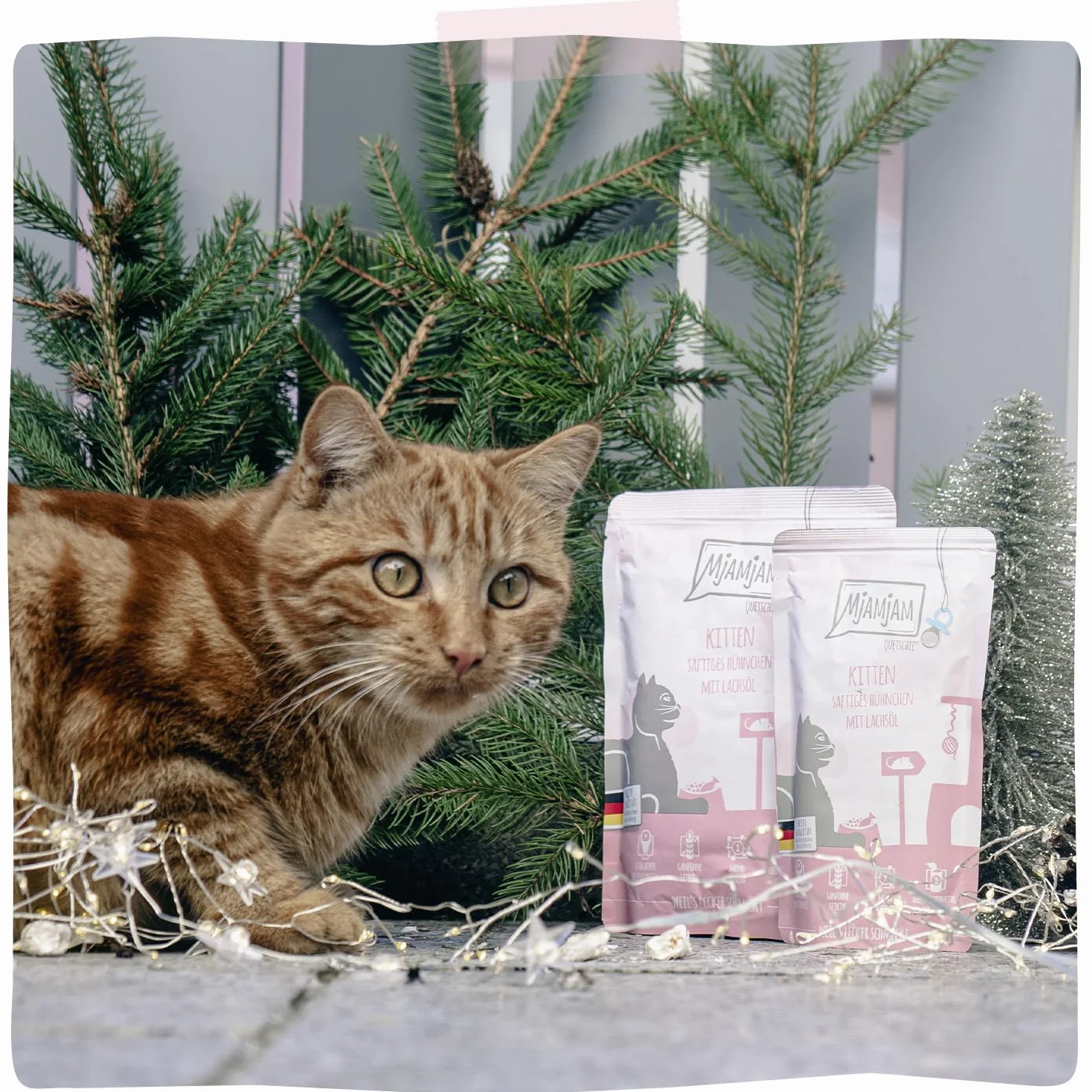 MjAMjAM nourriture humide chat poulet juteux chaton huile de saumon pack 6 x 400 g sans céréales
