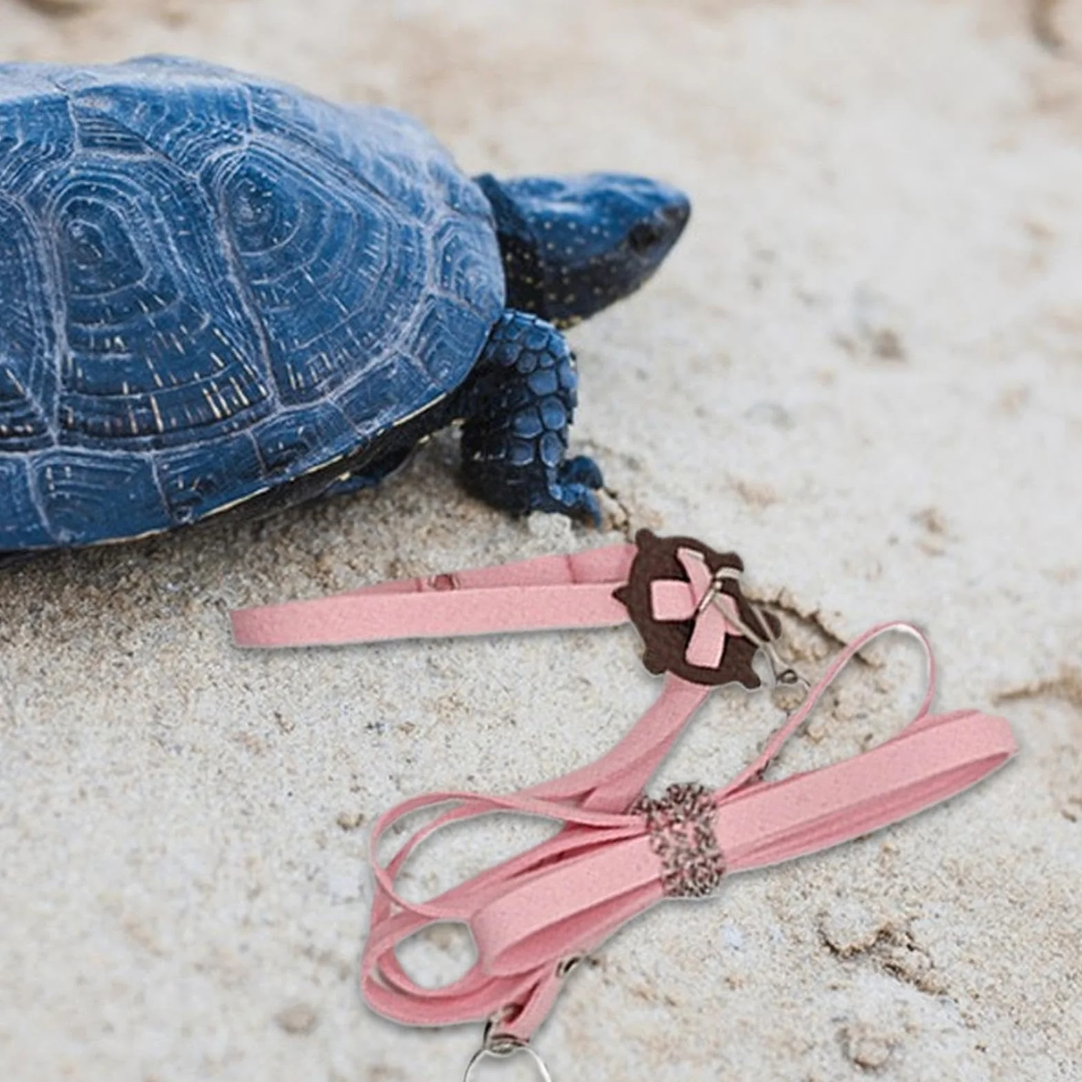 Laisses de Coffre de Tortue, Harnais d'extérieur en Cuir PU - Collier de Poitrine Souple
