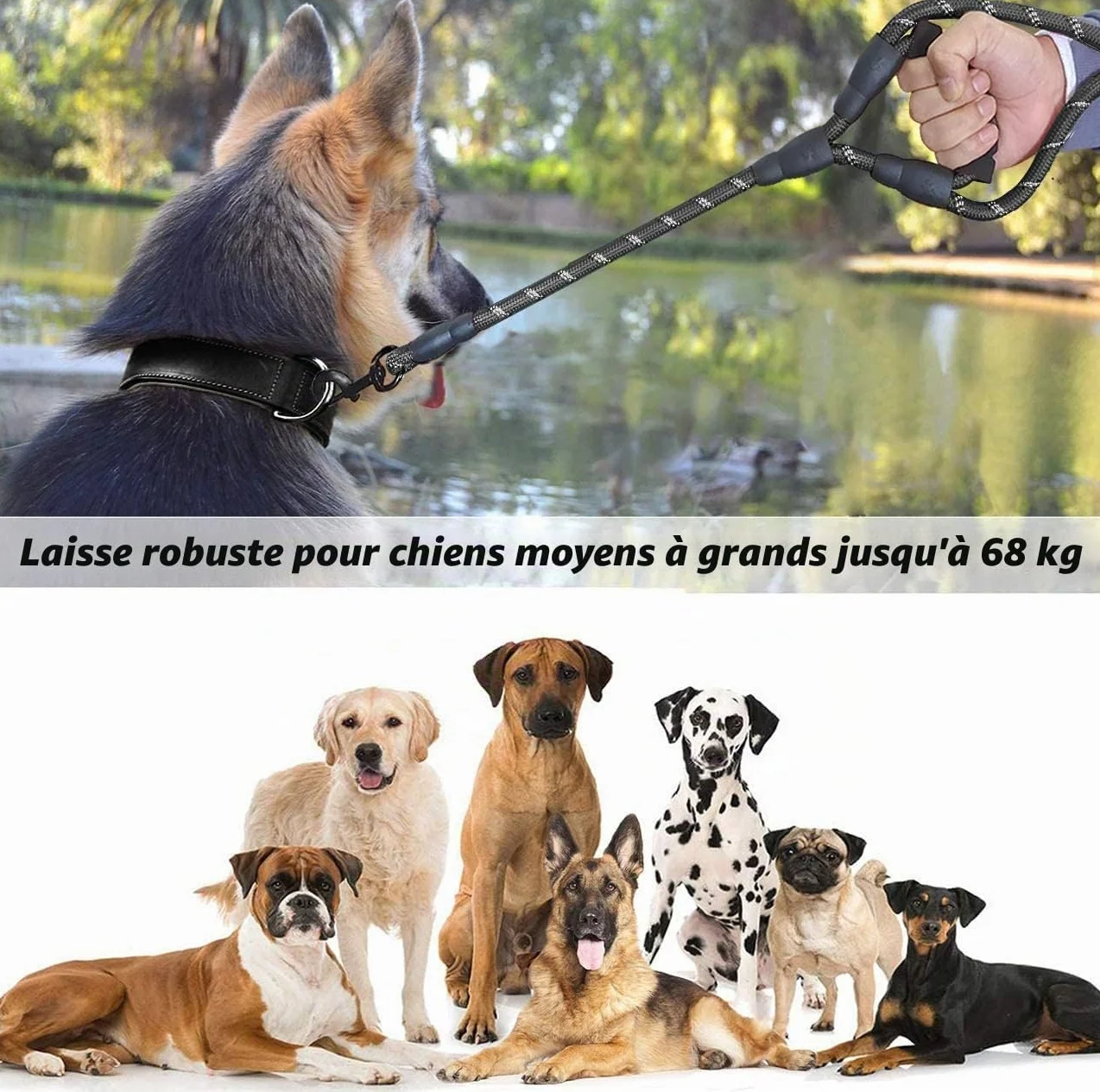 Laisse Chien 180cm Durable Poignée Double Fils Réfléchissants pour Chiens Petits Moyens Grands Noir