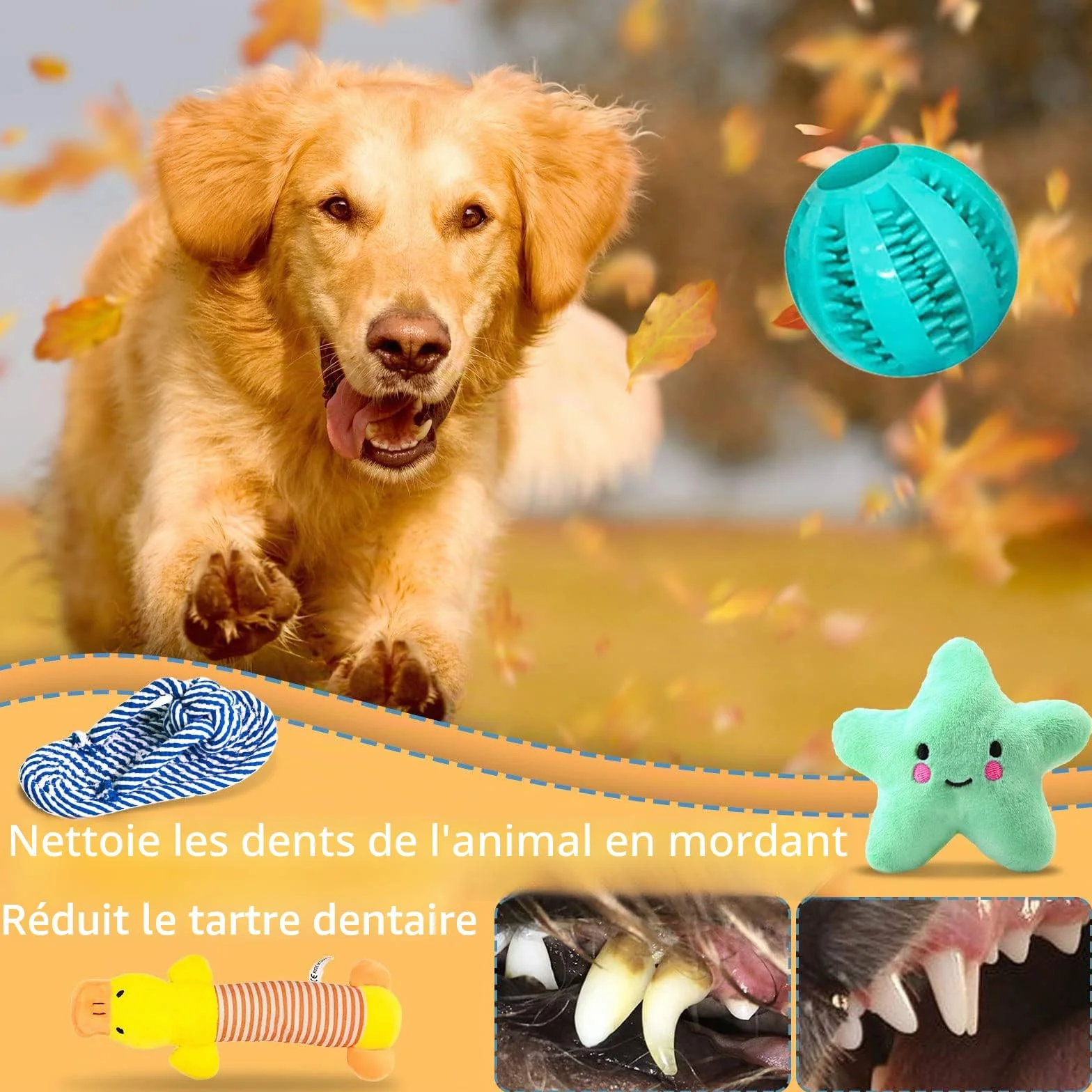 Lot de 20 jouets pour chien - Corde interactive - Balle en corde - Dents robustes - Jouet durable pour chiens de petite et grande taille