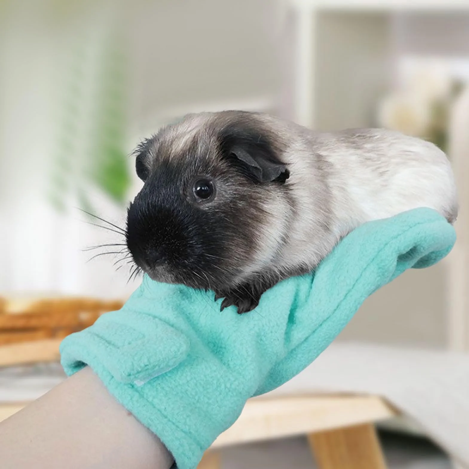 Gants anti-morsures protection rayures chats chiens coupe ongles soin animaux