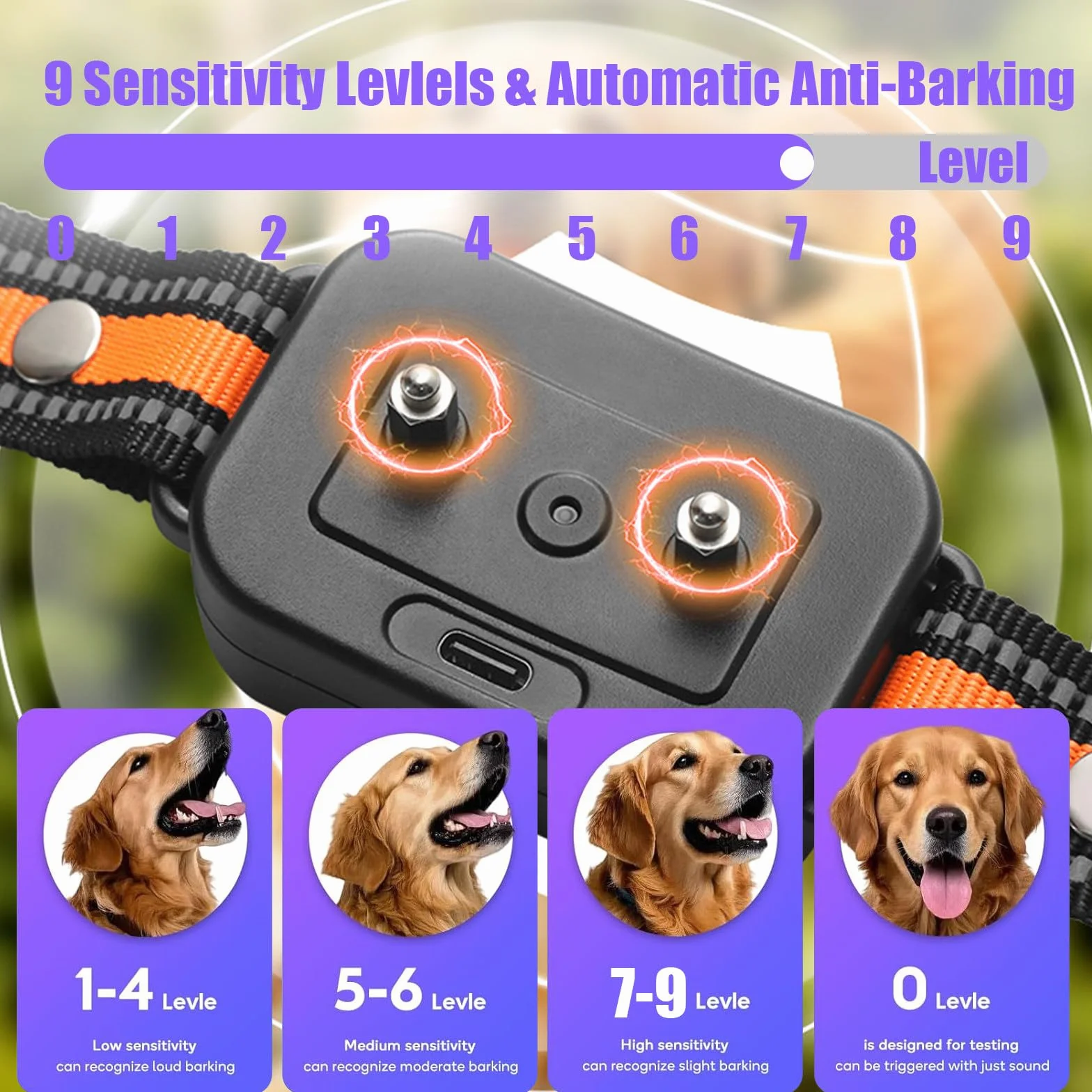 Billg Cloture Electrique pour Chien, 3 Modes Anti-Fugue, Collier Dressage Etanche, Portee 20-2000 M