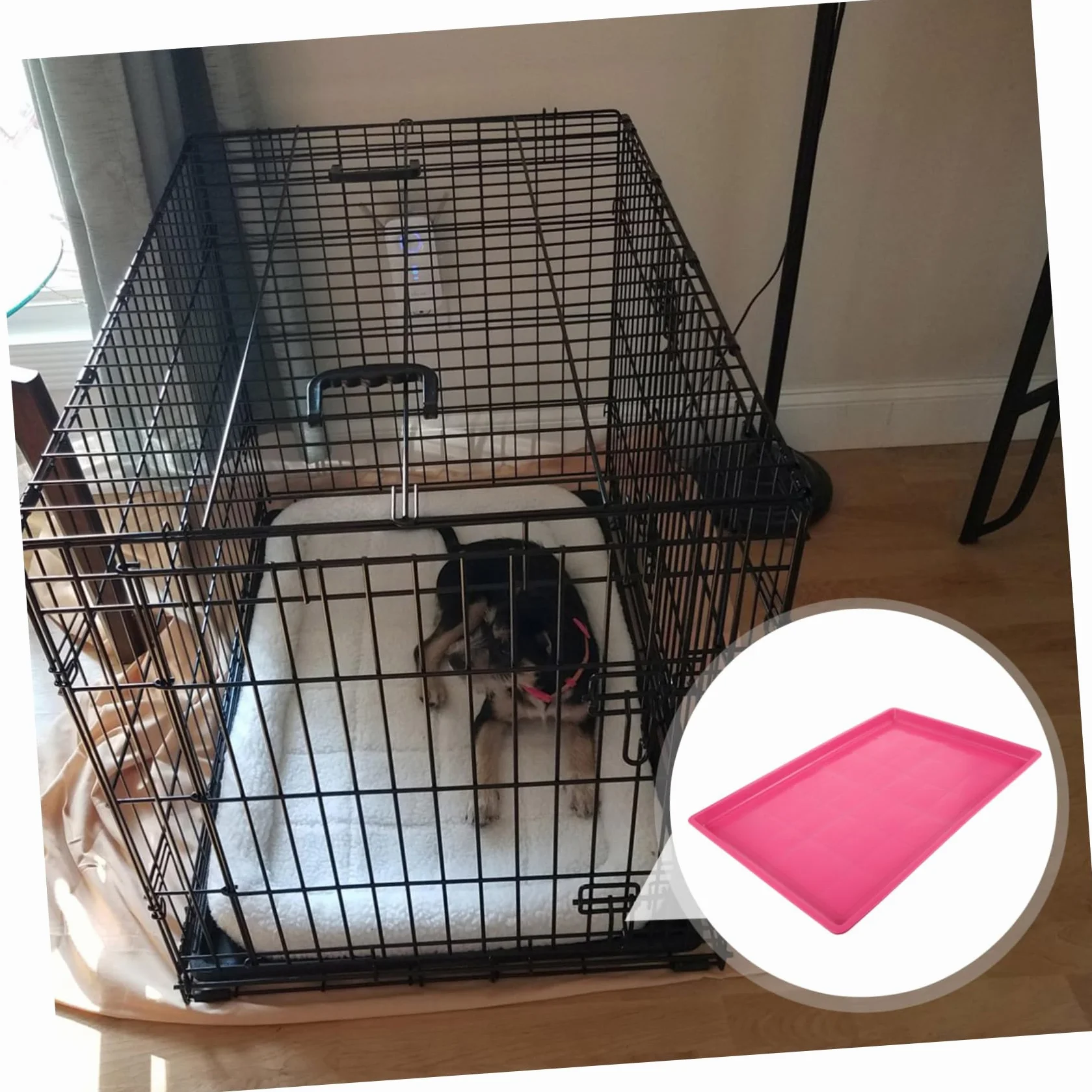 Bac de Fond de Cage en Plastique SUPVOX pour Cochons d'Inde et Poussins