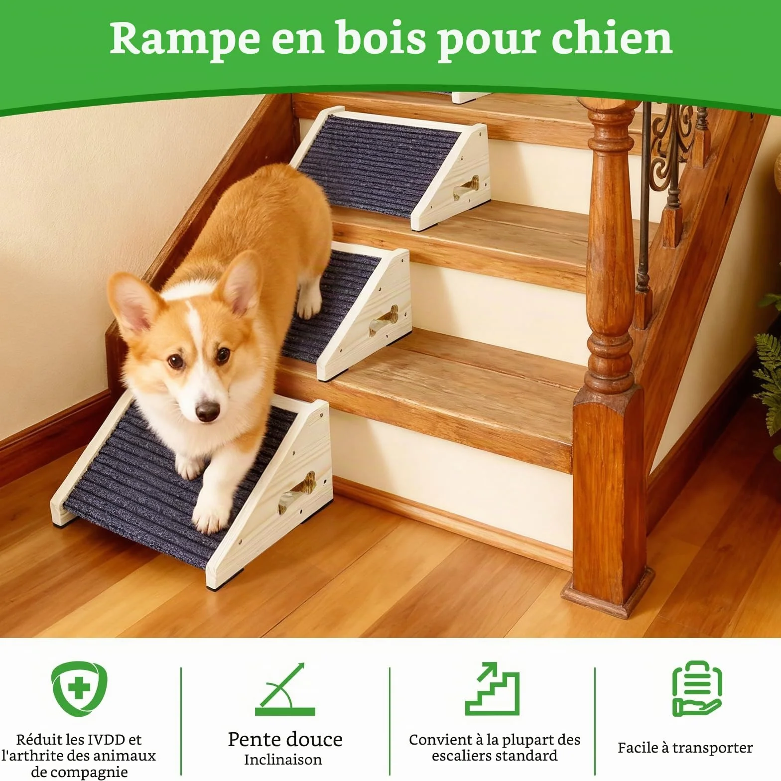 Marches Antidérapantes pour Chien 4 Pièces avec Moquette, Rampes à Angle Bas