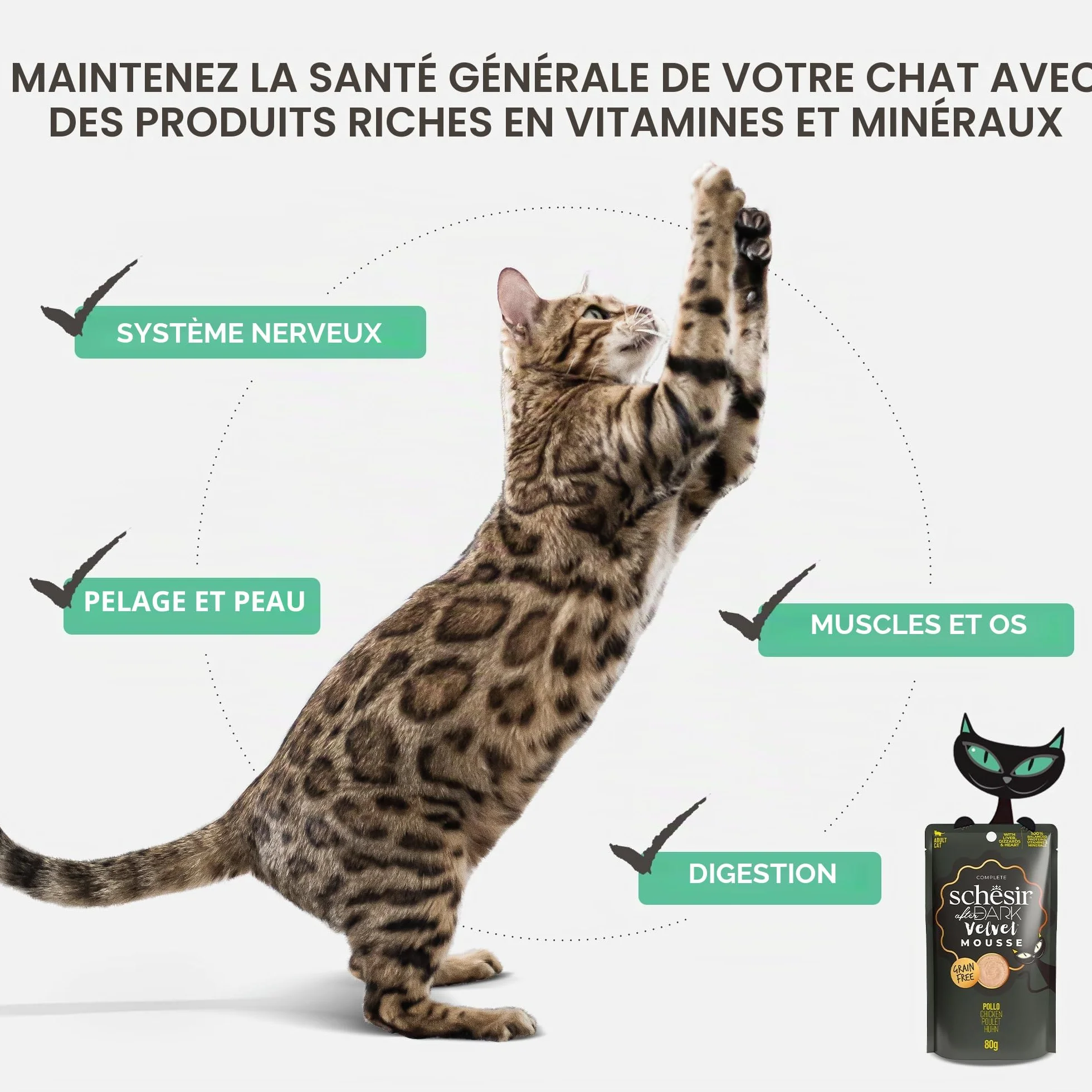 Schesir After Dark Nourriture Humide pour Chats en Mousse 12 x 80 g