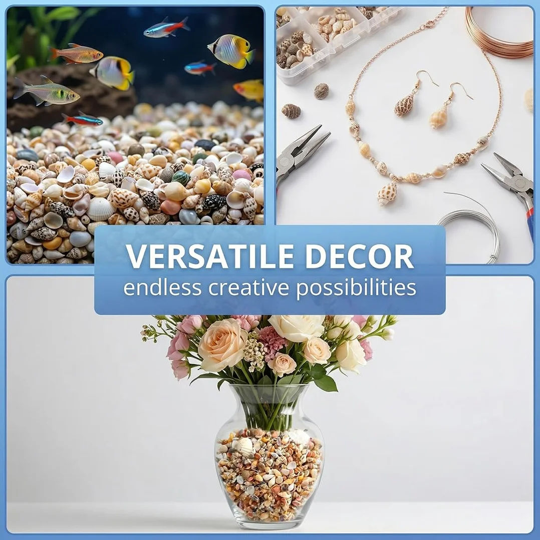 Mini Coquillages Naturels Mélangés Lot 200 Pièces Non Percées pour Décoration Maison