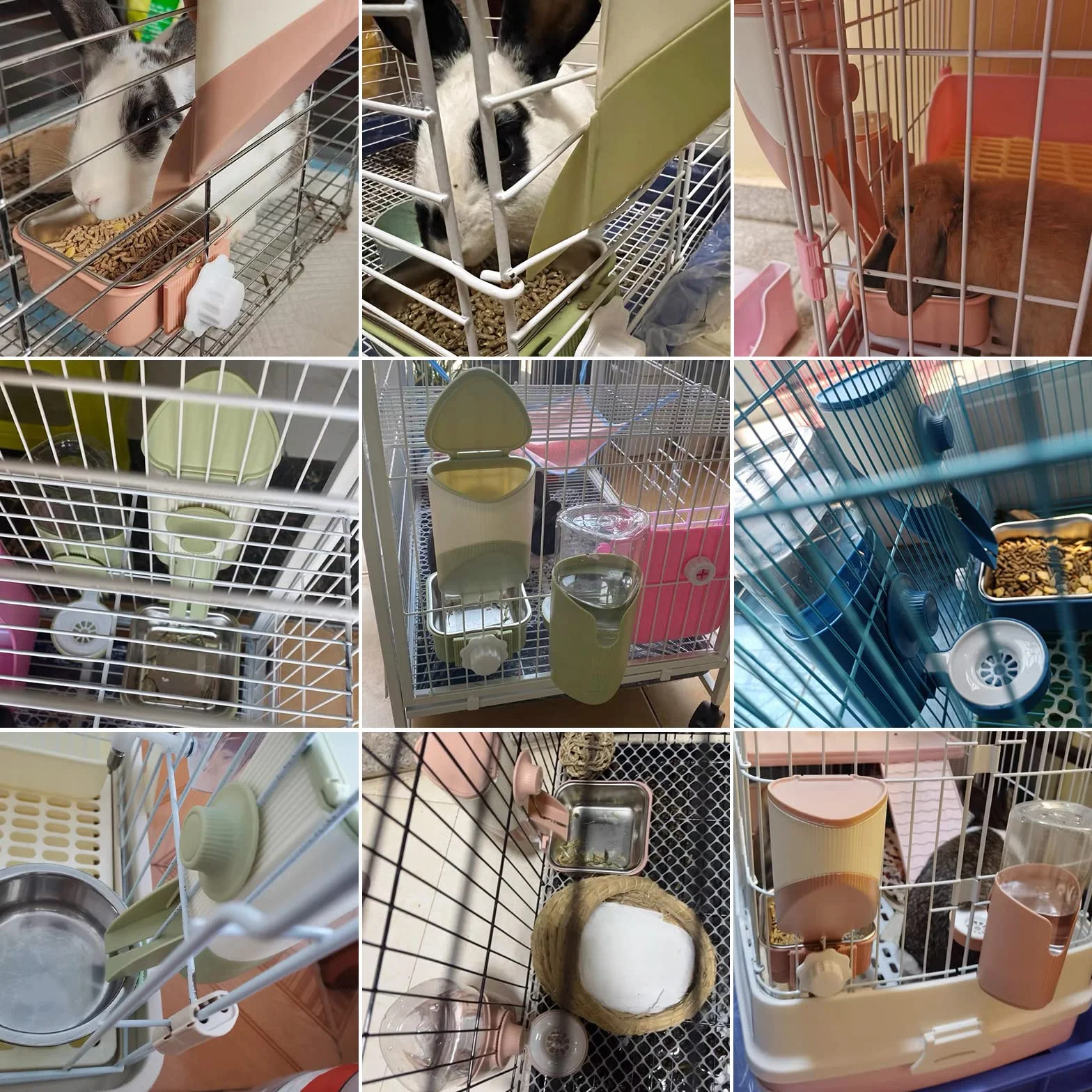 Suspendre Gamelle pour Animal Cage Amovible Inoxydable 2 en 1 Eau Chien Lapin Chiot Chat Cochon d'Inde Hérisson Oiseaux Vert