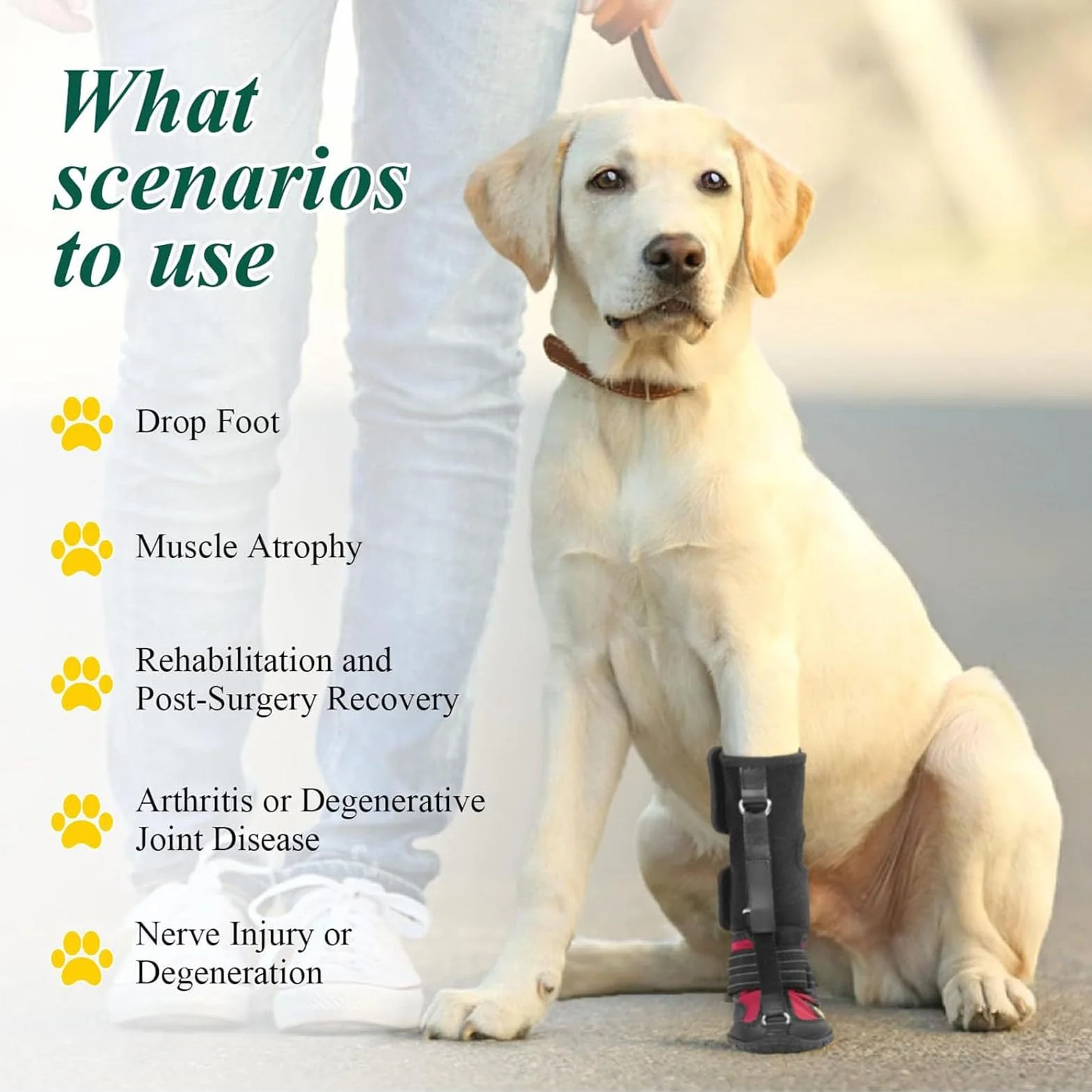 SENECESLI Attelle de Pied Tombante pour Chien, Respirante avec Semelle Antidérapante, Arthrite, Chaussette Élastique (M)